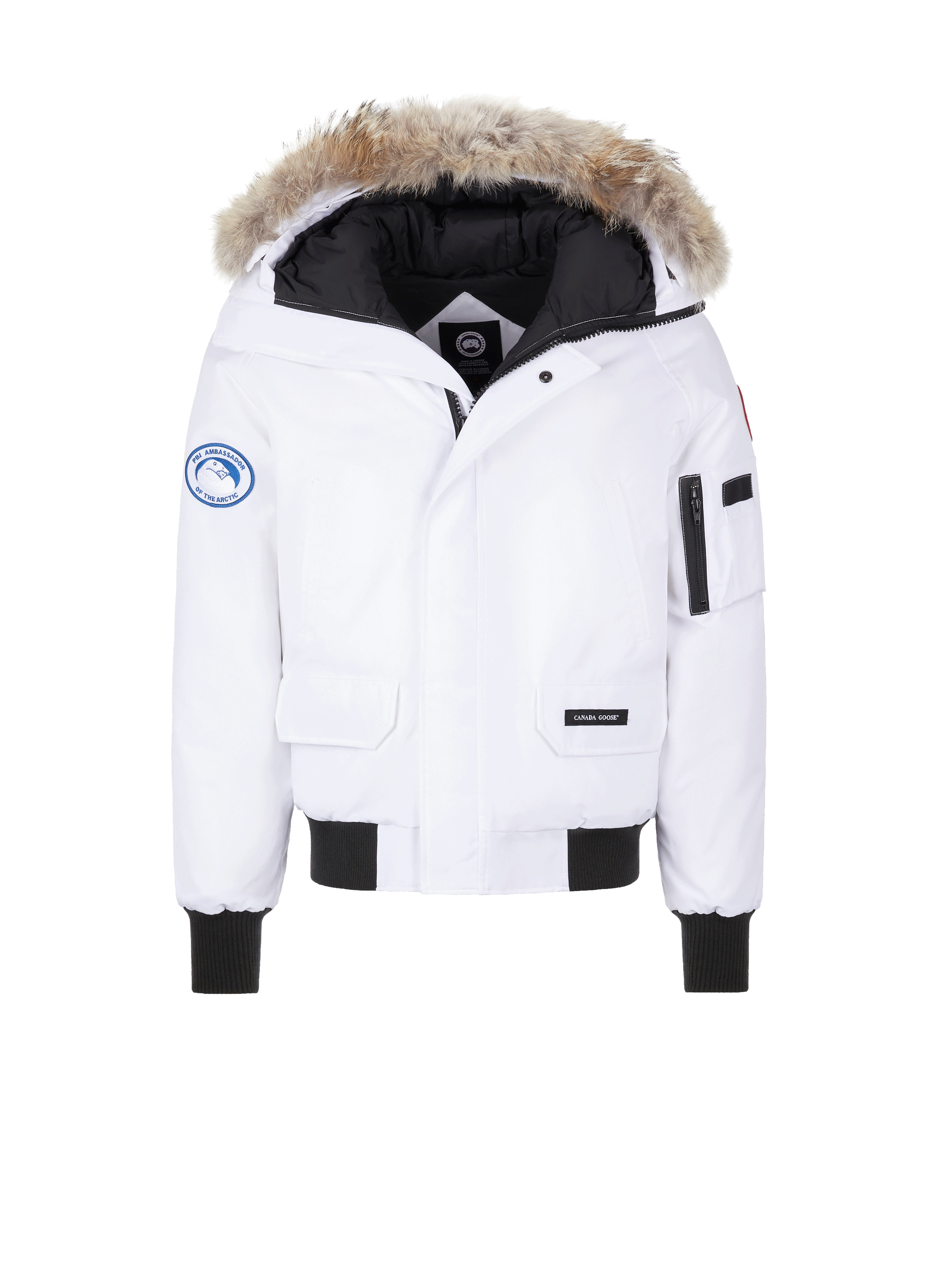 white canada goose chilliwack bomber