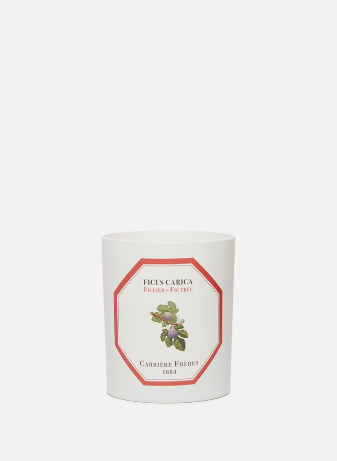 Fig Tree Scented Candle - Ficus Carica - 185 g (6.5 oz) CARRIERE FRERES
