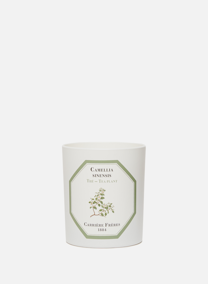 Tea Scented Candle - Camellia Sinensis - 185 g (6.5 oz) CARRIERE FRERES