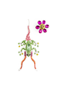 COLLINA STRADA FROG & FLOWER Multicolour