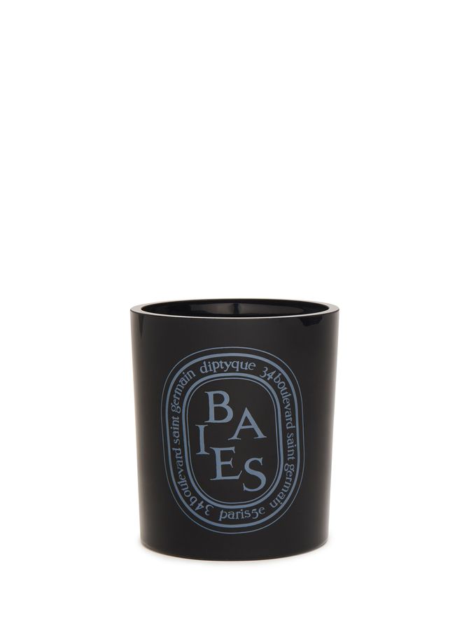 Berries Candle 300 g DIPTYQUE