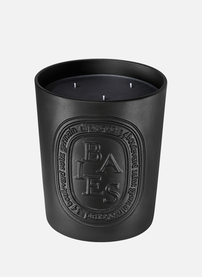 Berries Candle 600 g (21 oz) DIPTYQUE