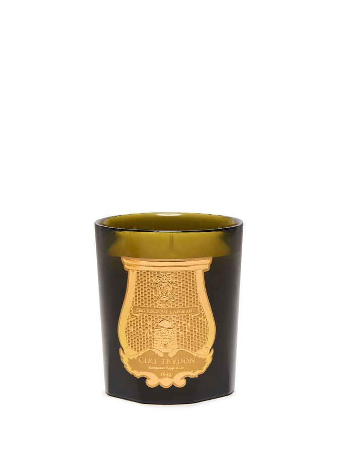 Ernesto (Leather and Tobacco) Scented Candle 270 g (9.5 oz) TRUDON