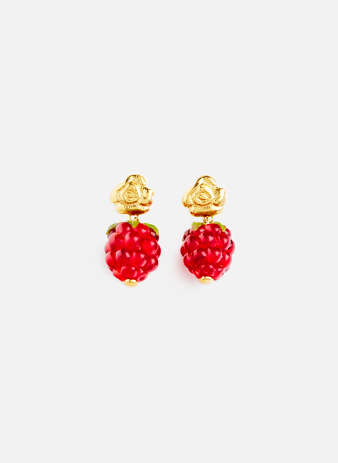 Rose and Yellow Grape Earrings10 DECOART 