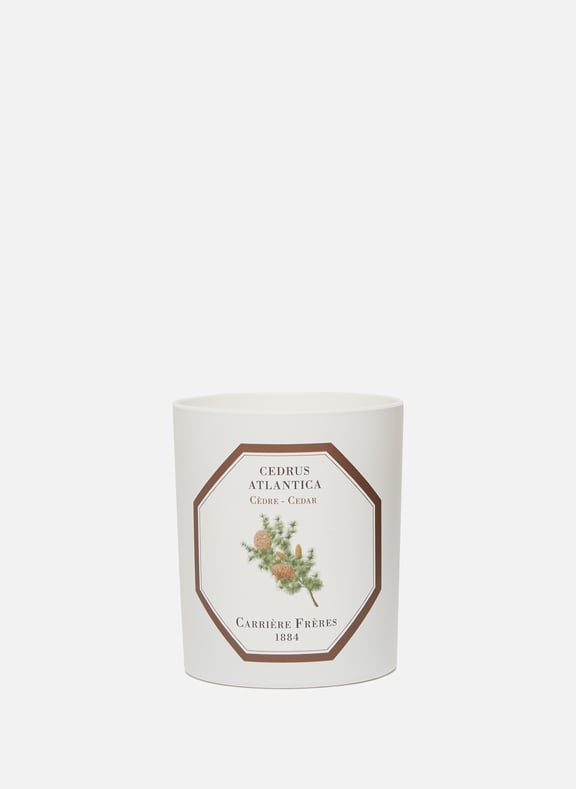 Bougie Parfumée Cèdre - Cedrus Atlantica - 185 g by CARRIERE FRERES CARRIERE FRERES Bougie Parfumée Cèdre - Cedrus Atlantica - 185 g