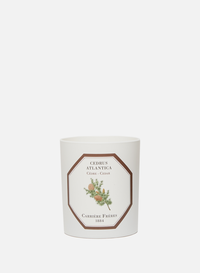 Bougie Parfumée Cèdre - Cedrus Atlantica - 185 g CARRIERE FRERES
