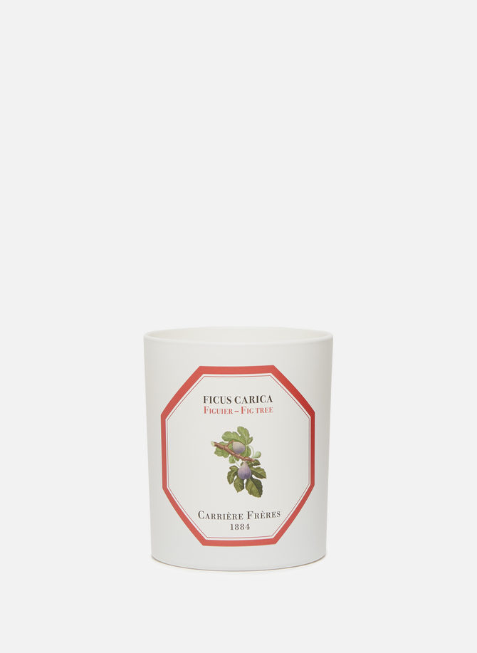 Fig Tree Scented Candle - Ficus Carica - 185 g CARRIERE FRERES