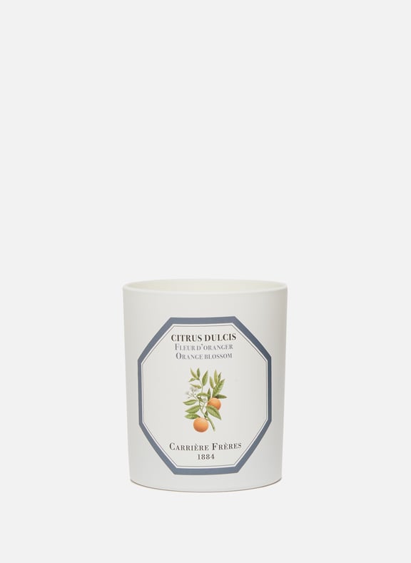 Bougie Parfumée Fleur d'Oranger - Citrus Dulcis - 185 g by CARRIERE FRERES CARRIERE FRERES Bougie Parfumée Fleur d'Oranger - Citrus Dulcis - 185 g