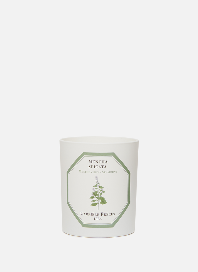 Spearmint Scented Candle - Mentha Spicata - 185 g CARRIERE FRERES
