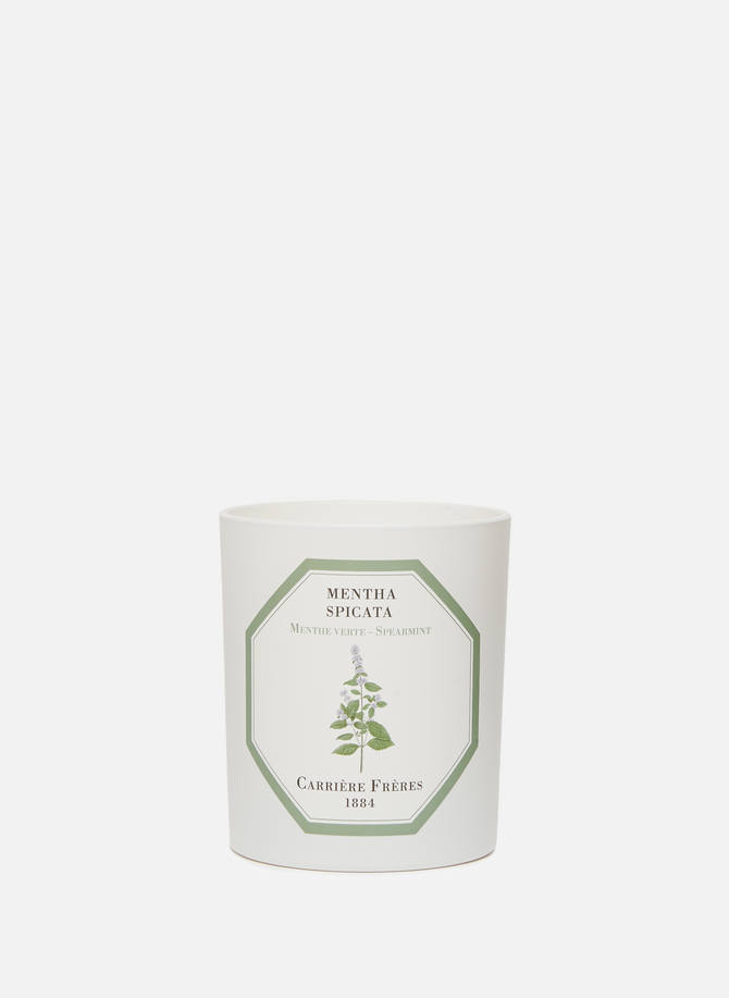 Bougie Parfumée Menthe Verte - Mentha Spicata - 185 g CARRIERE FRERES