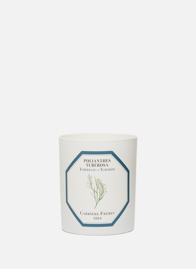 Tuberose Scented Candle - Polientes Tuberosa - 185 g CARRIERE FRERES