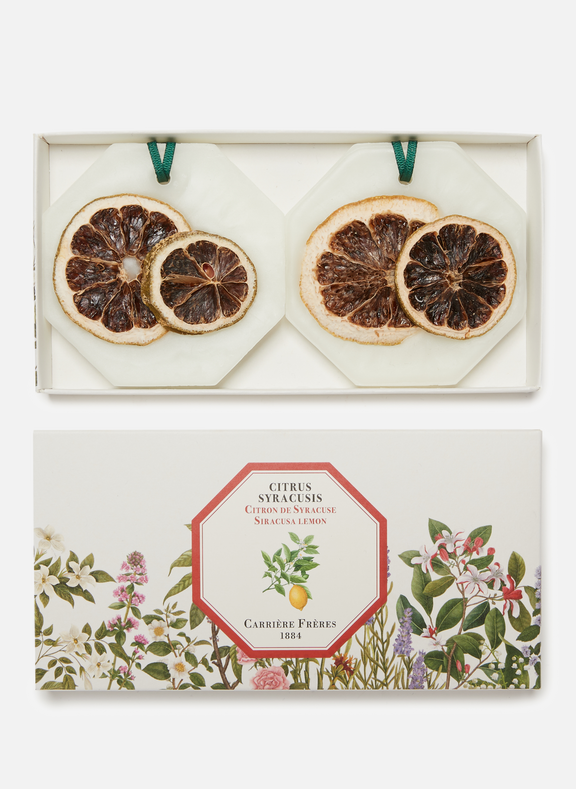 CARRIERE FRERES Botanical Palets Syracuse Lemon – Citrus Syracuse – 2 x 55 g 