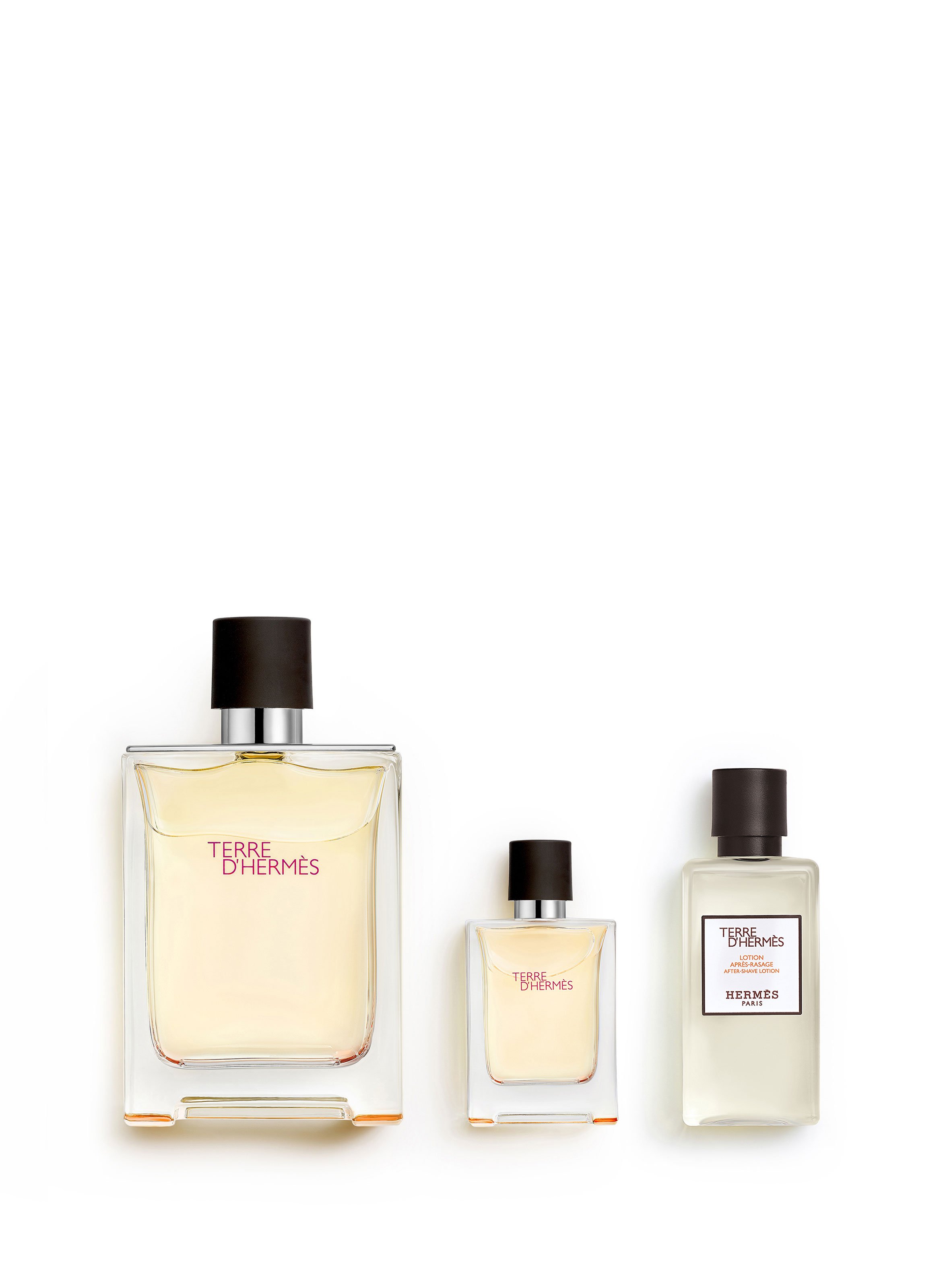 Terre D'Hermes Coffret: Eau de Toilette Spray 100ml + Hair And Body Shower  Gel 40ml + Eau de Toilette 5ml 3pcs Germany