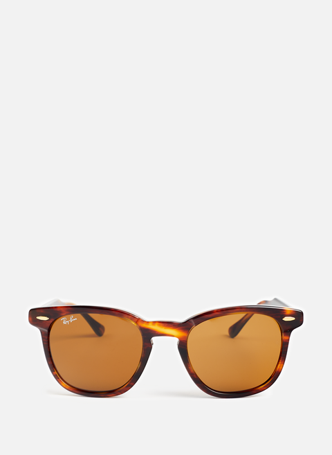 Hawkeye Sunglasses BrownRAY-BAN 