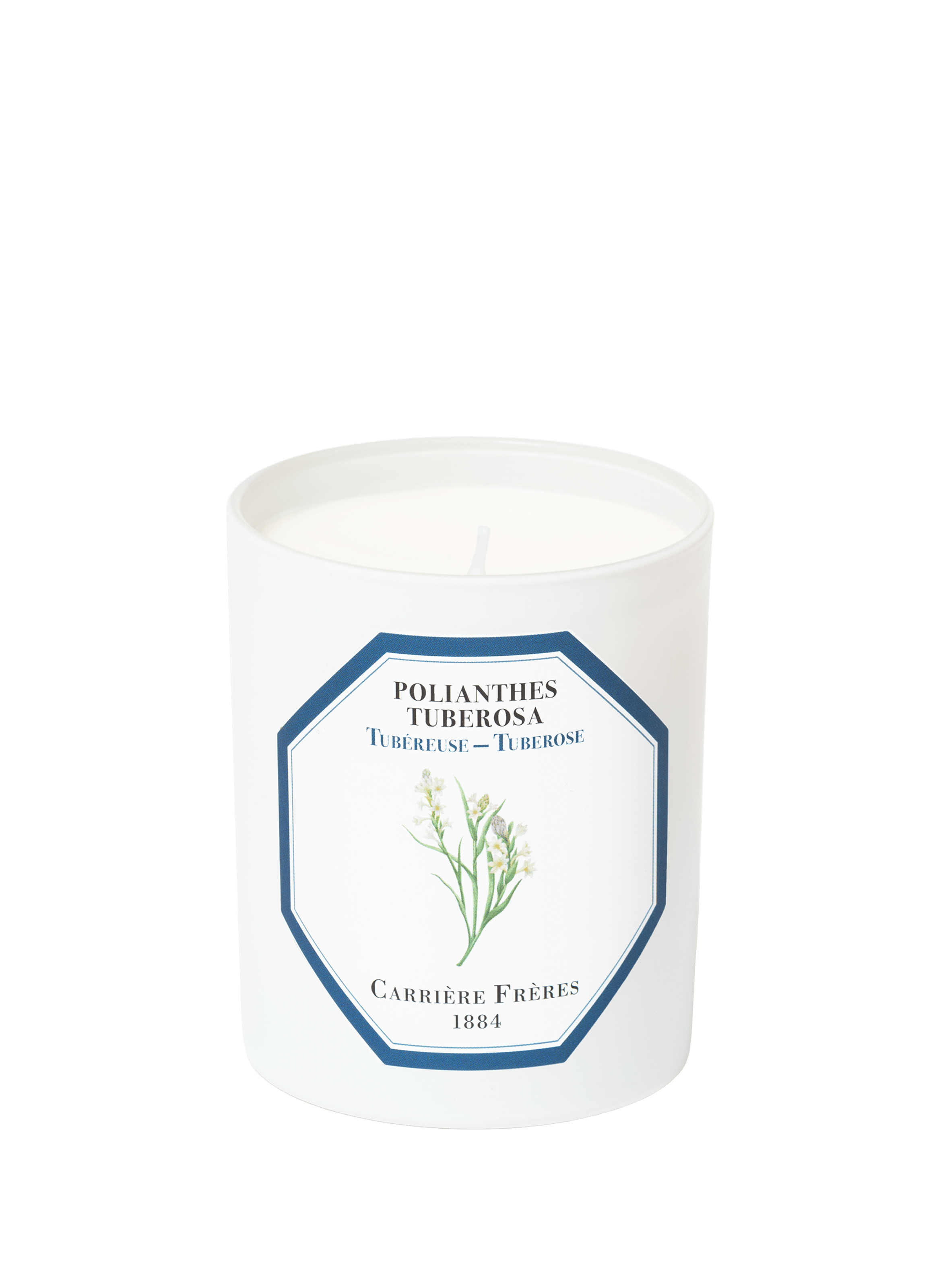 Bougie Parfumée Tubéreuse - Polientes Tuberosa - 185 g | CARRIERE FRERES