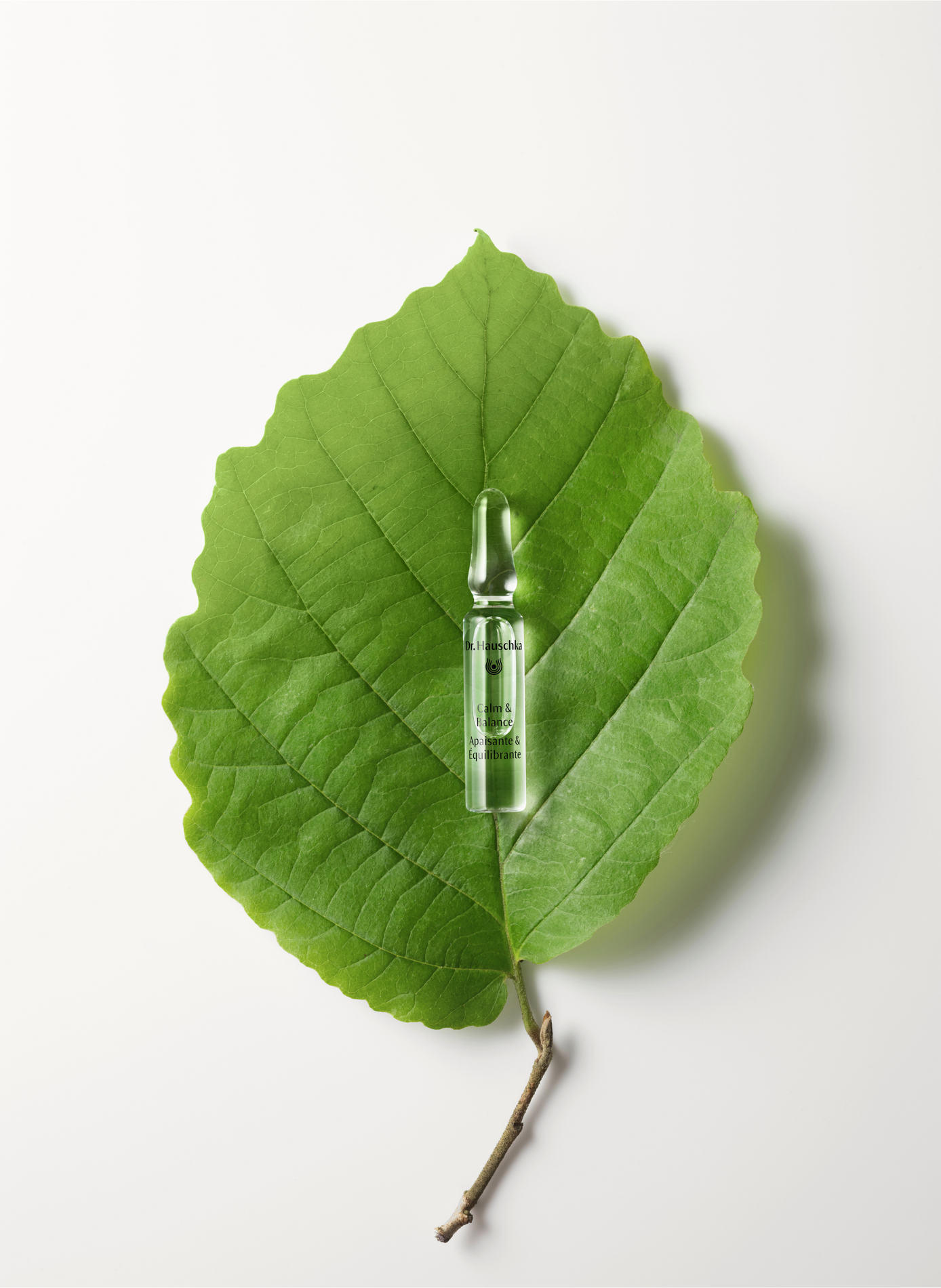 Soothing & Balancing Treatment 7 ampoules x 2 ml DR HAUSCHKA No color