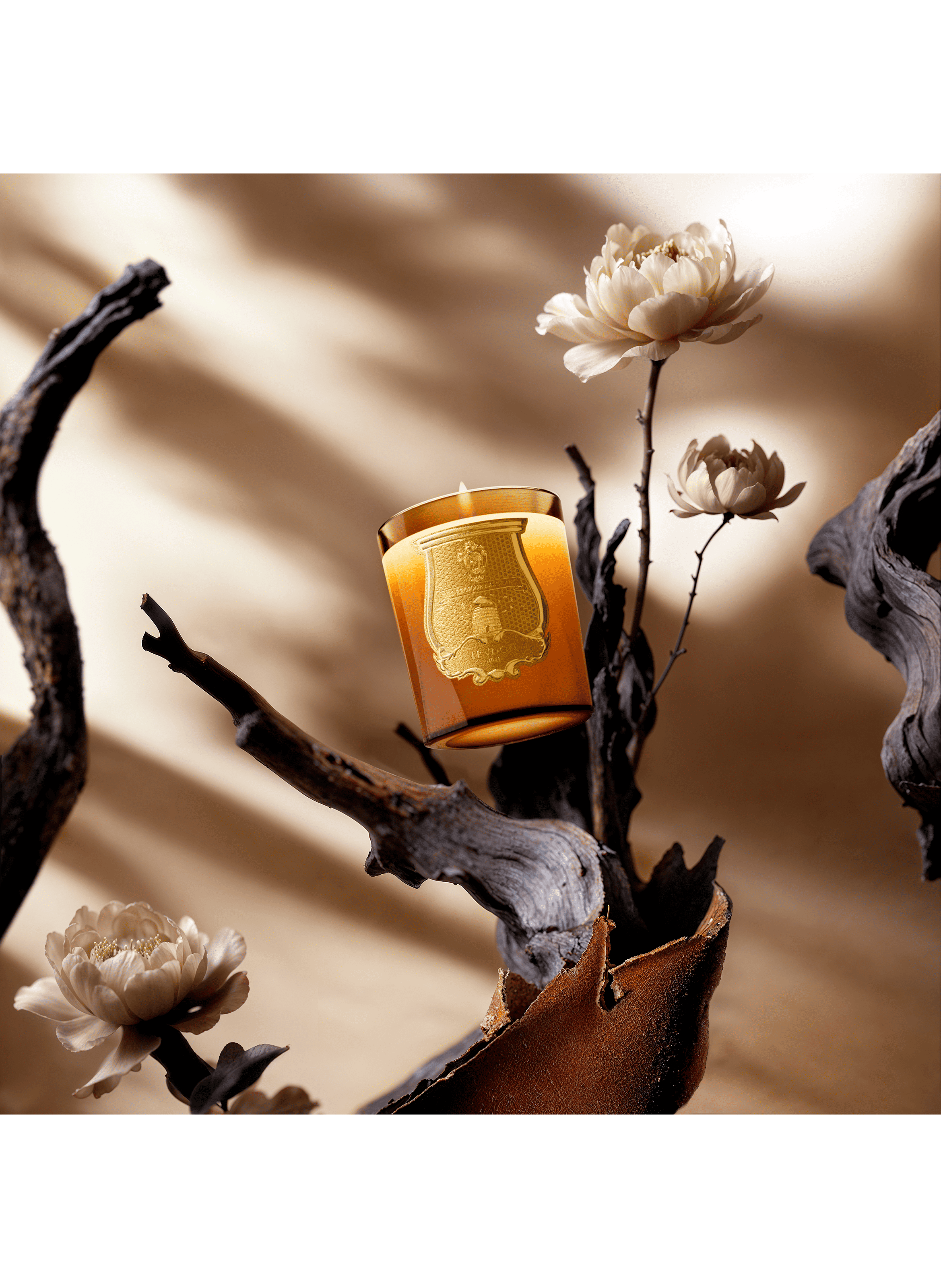 Scented candle - Altaïr TRUDON No color