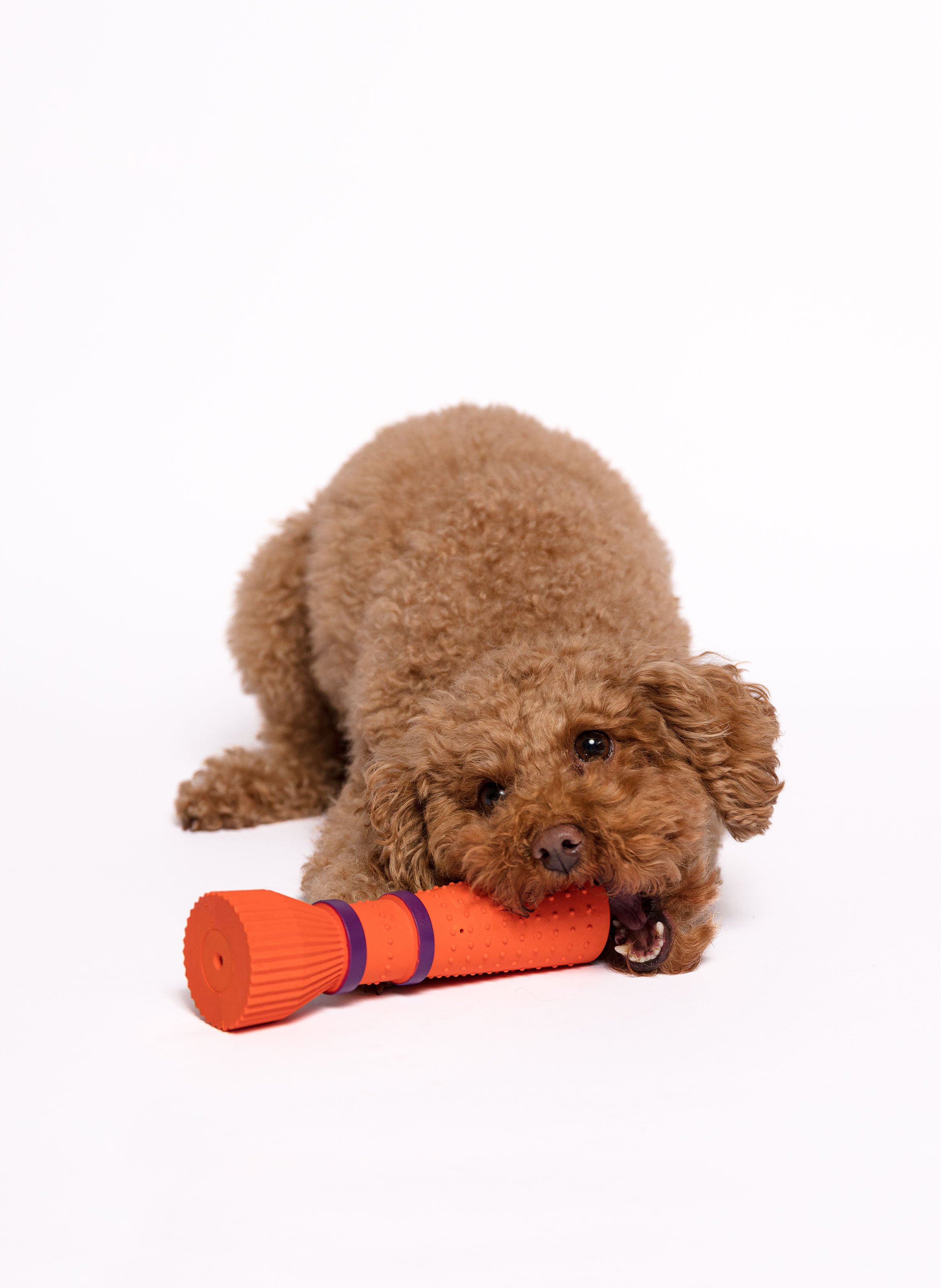 Jouet pour chien FURMEY Orange