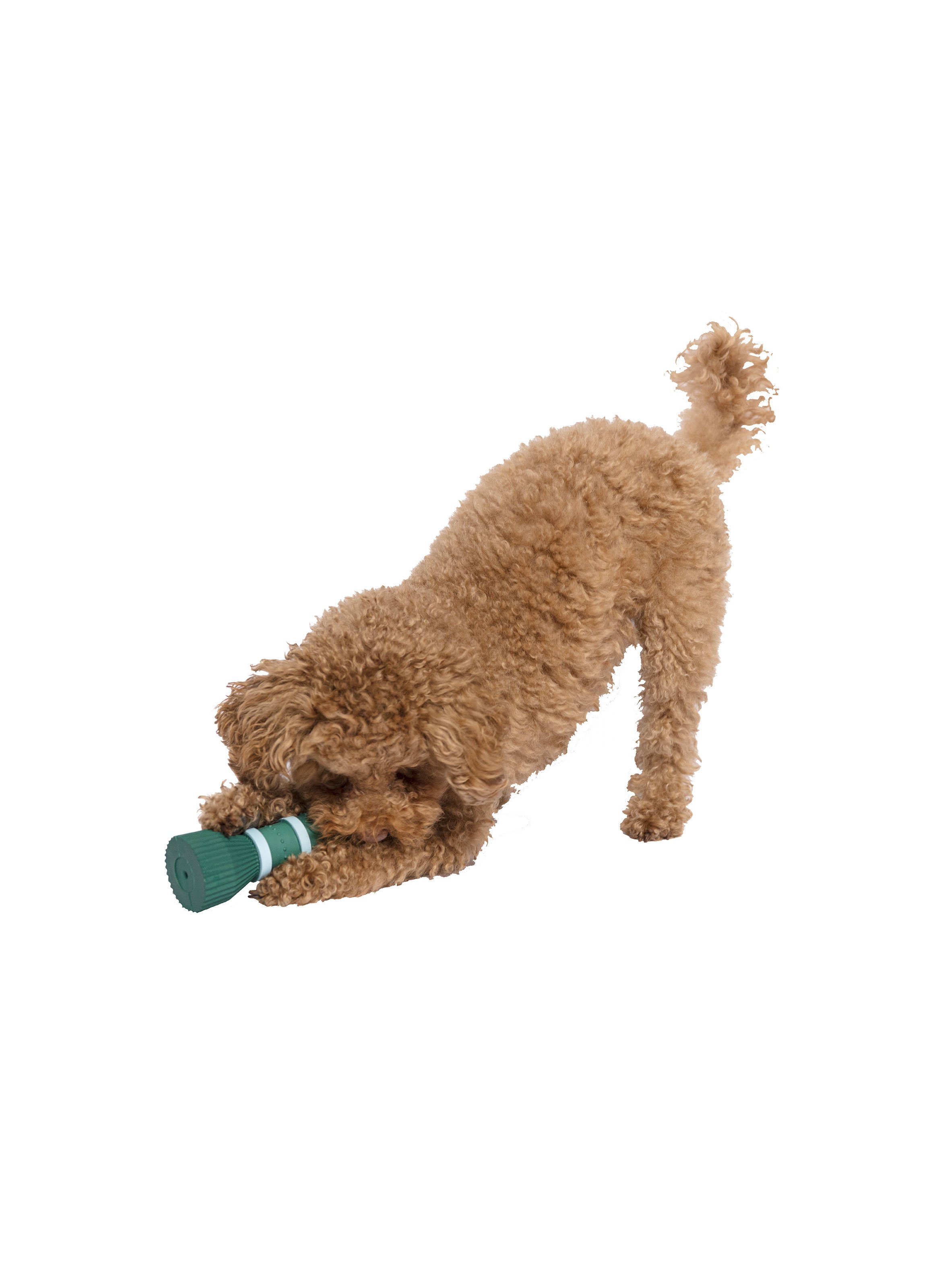 Jouet pour chien FURMEY Vert