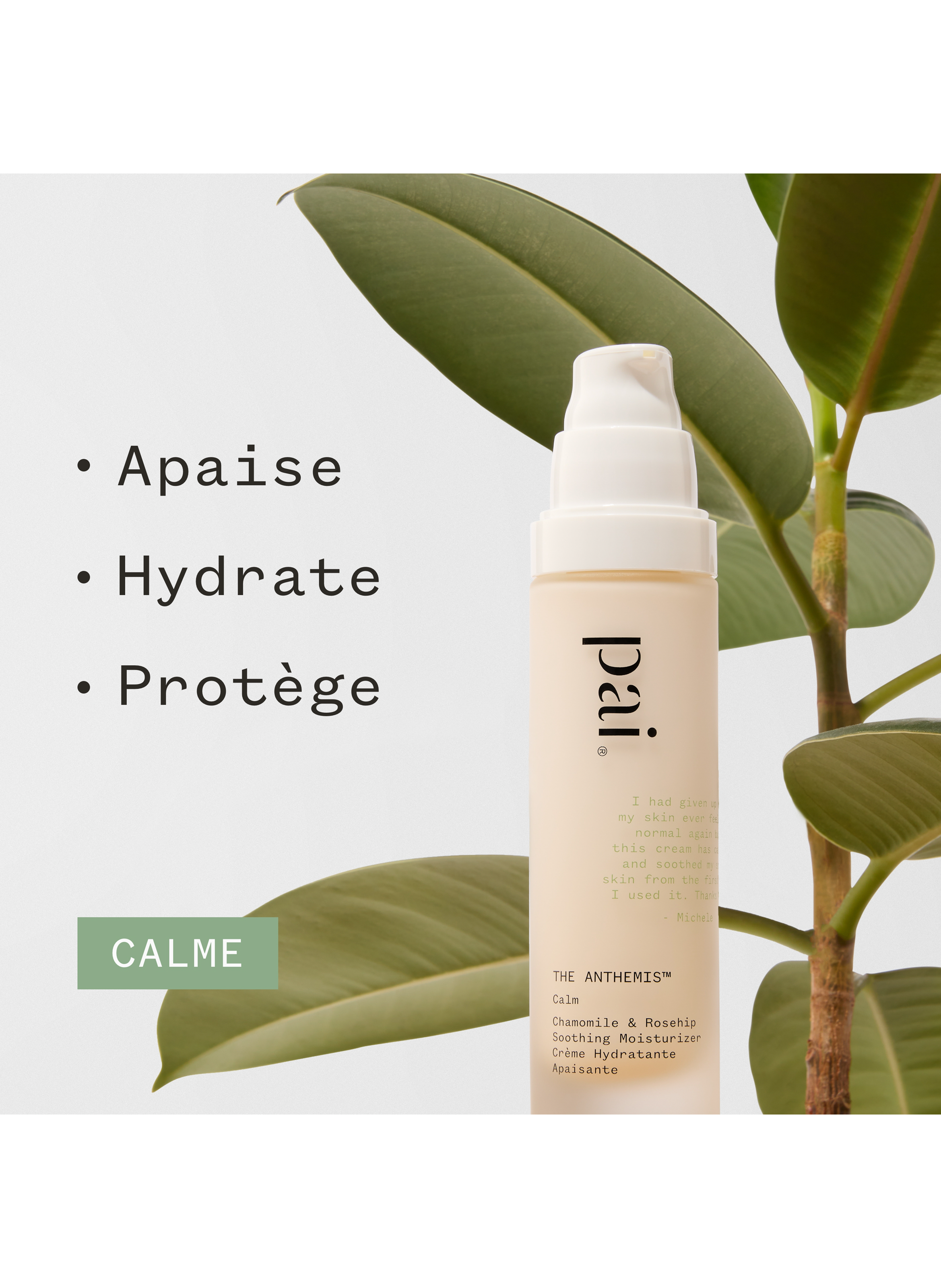 The Anthemis - Soothing Moisturizing Cream PAI No color