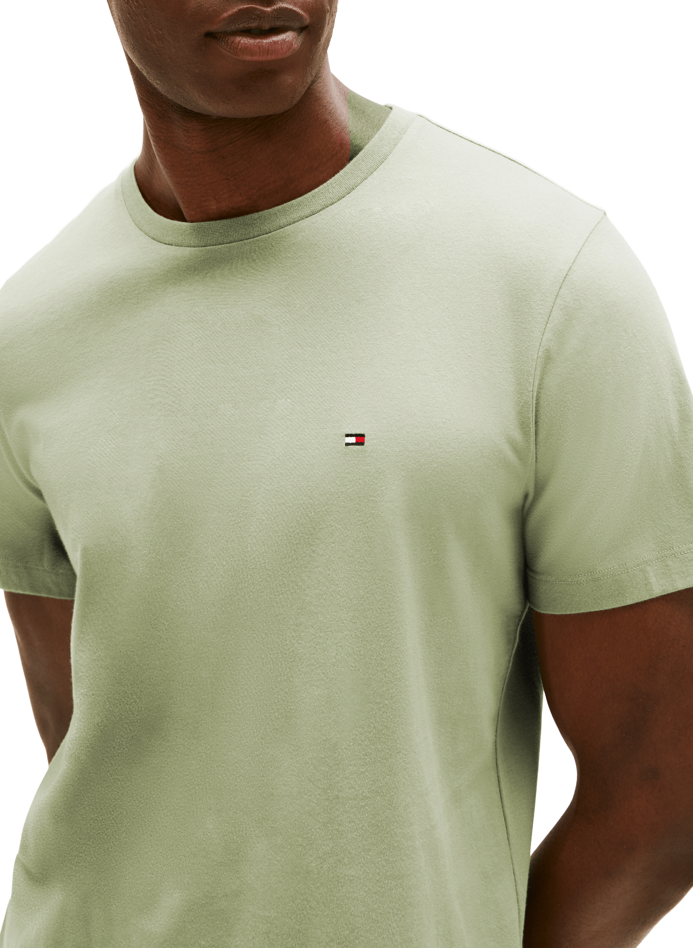 Classic Cotton T-Shirt TOMMY HILFIGER Green