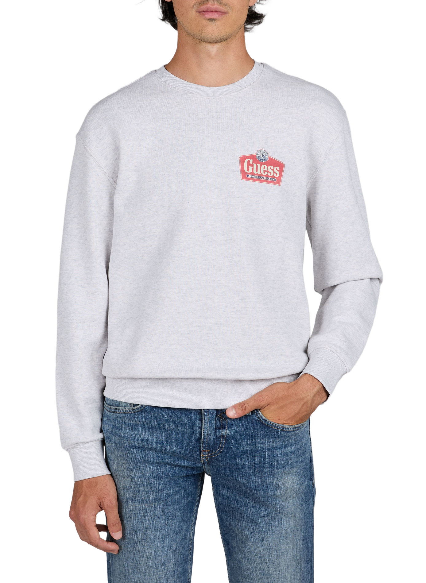 Gerader Baumwoll-Sweater GUESS Grau