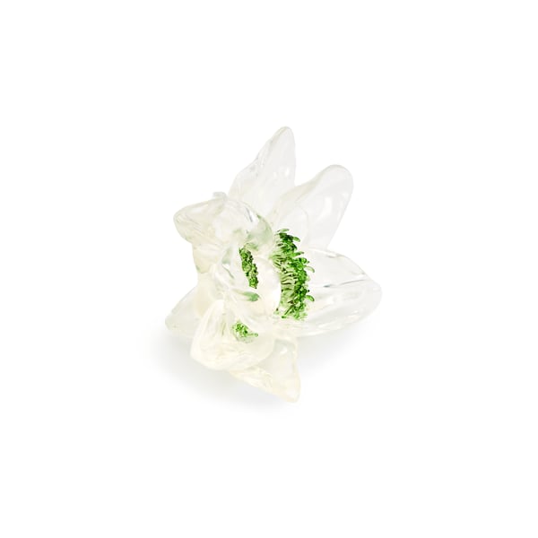 Bague Tempus Transparentus