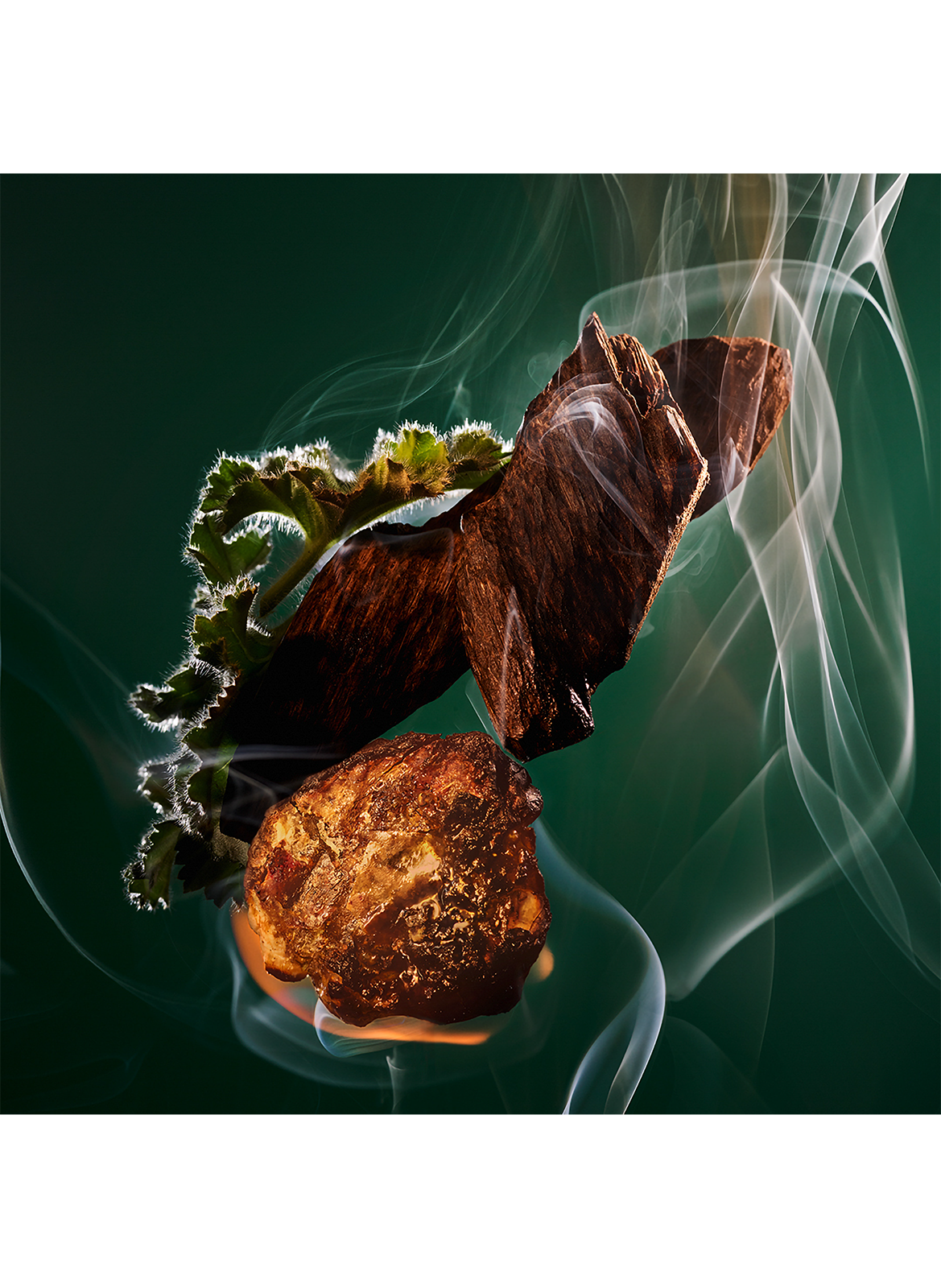 Le Gemme Kobraa - Eau de Parfum BVLGARI No color