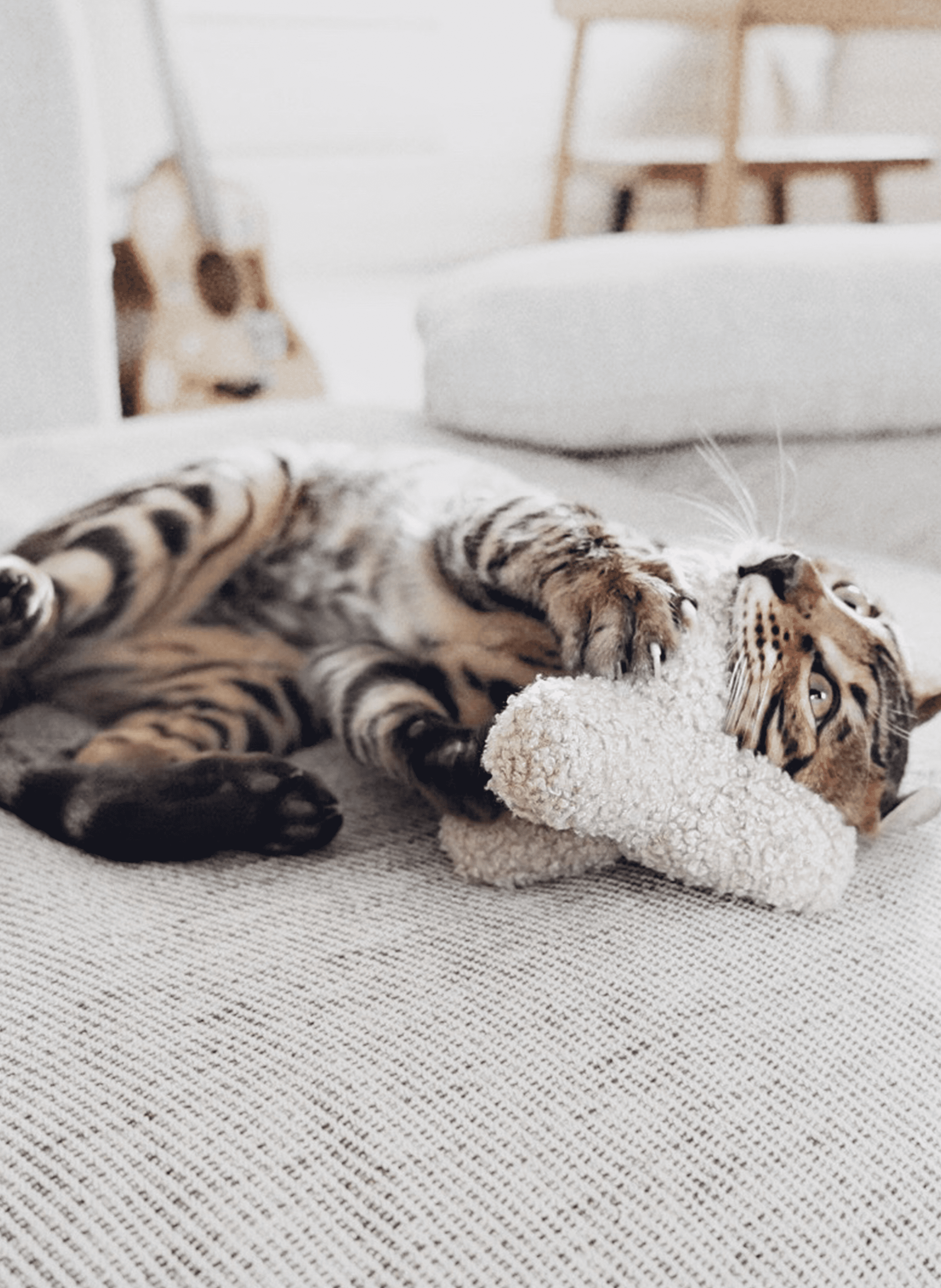 Jouet pour chat Tétrapode BAGANE Beige