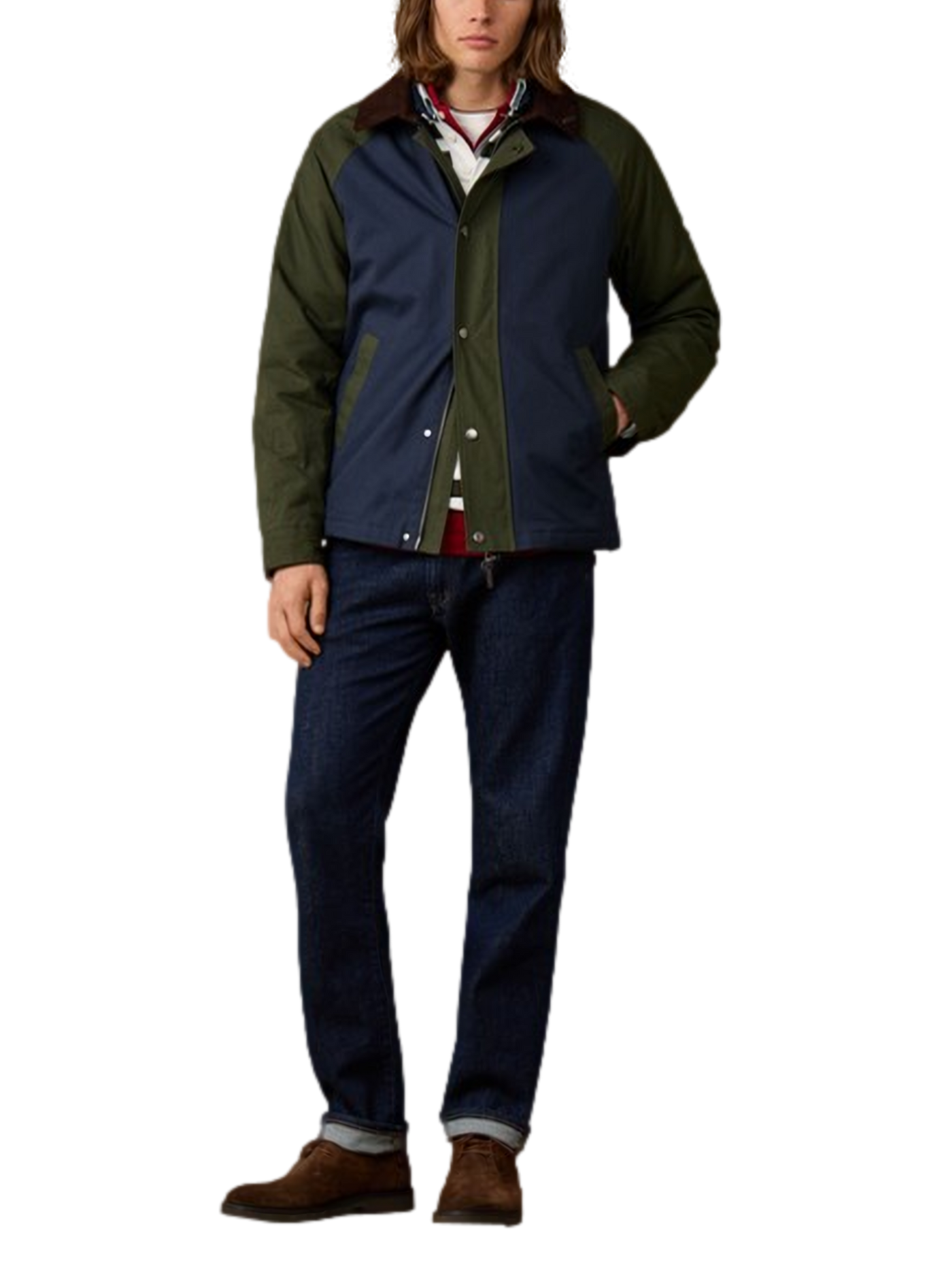 Straight-cut jacket with a ribbed collar in a cotton blend HACKETT Blue