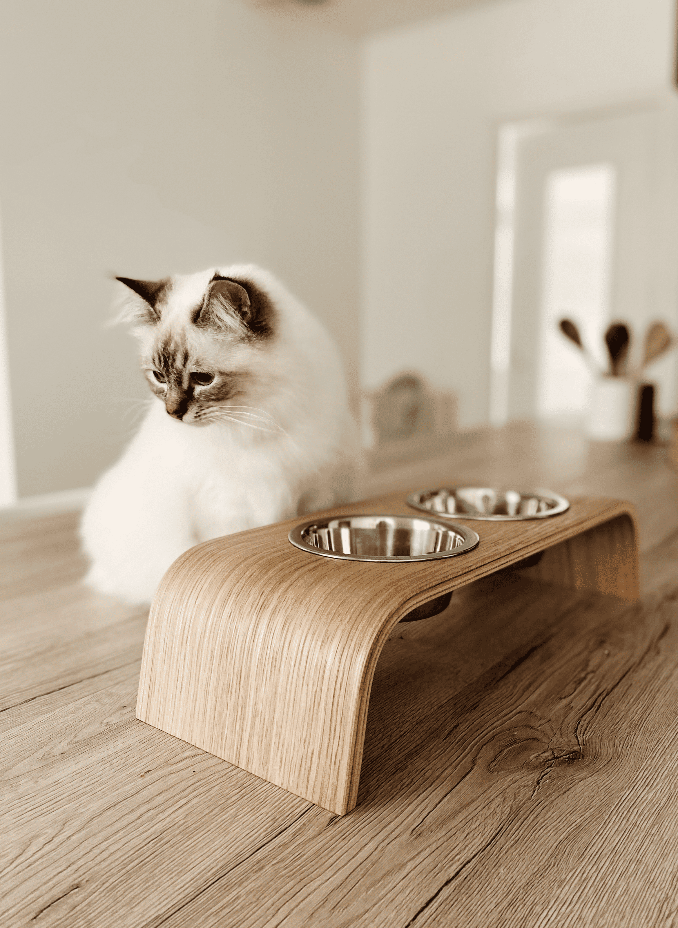 Set de gamelles surélevées BAGANE Marron