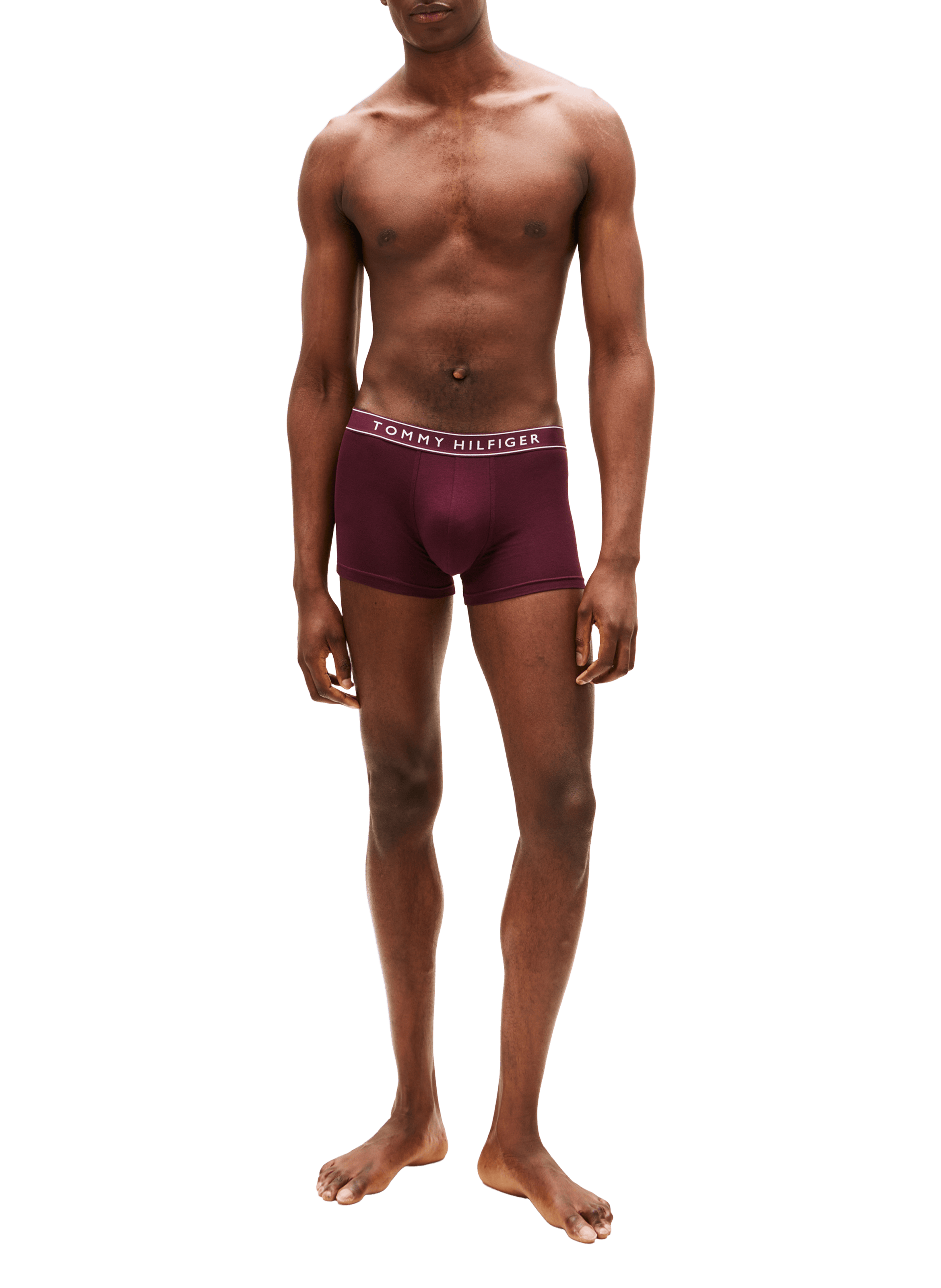 Lot de 3 boxers TOMMY HILFIGER Multicolore