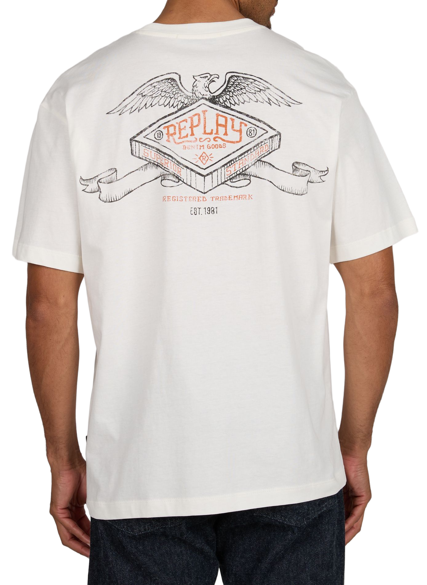 Oversized round neck cotton screen-printed t-shirt REPLAY Beige