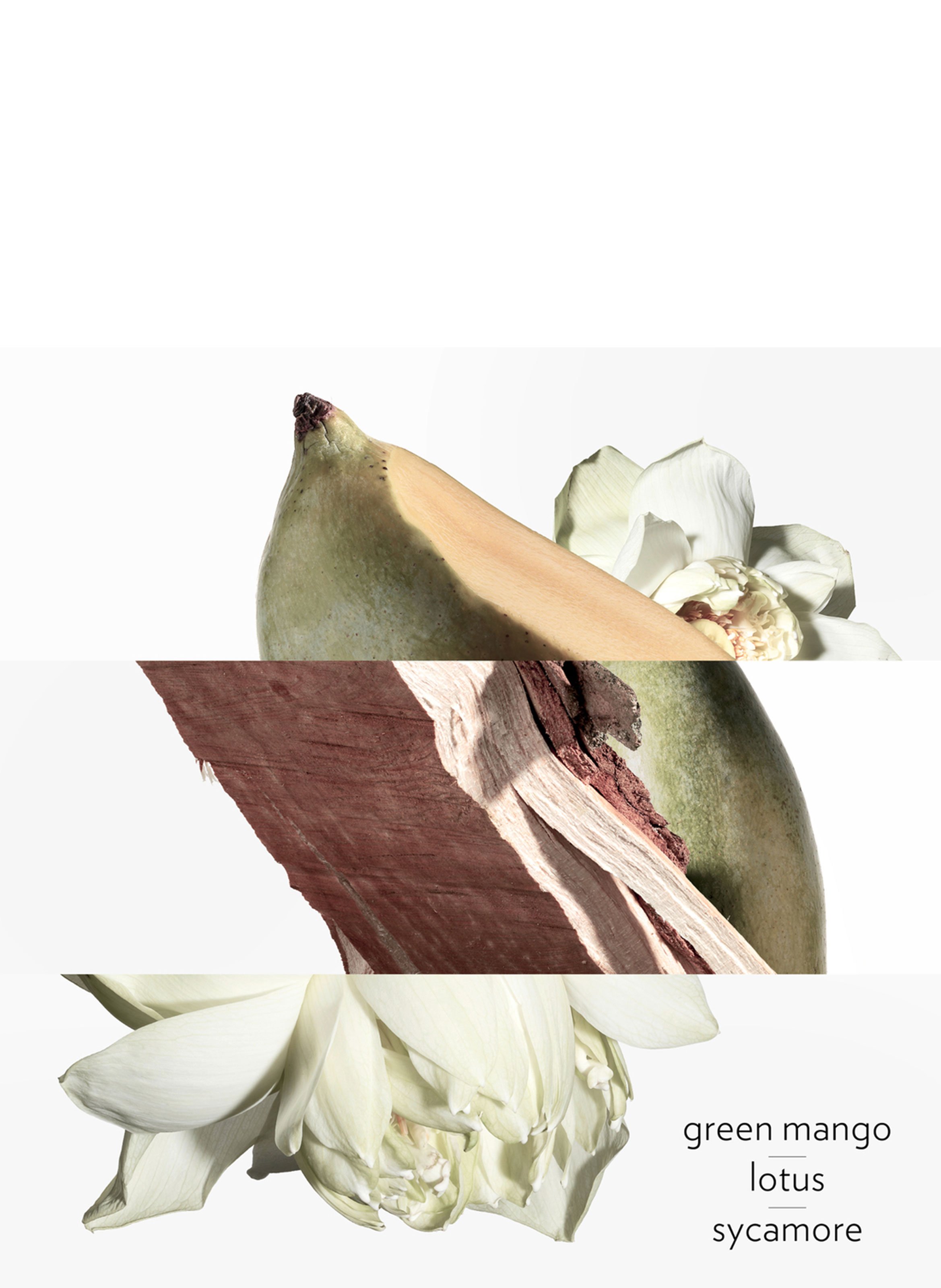 Un Jardin sur le Nil Eau de toilette HERMÈS No color