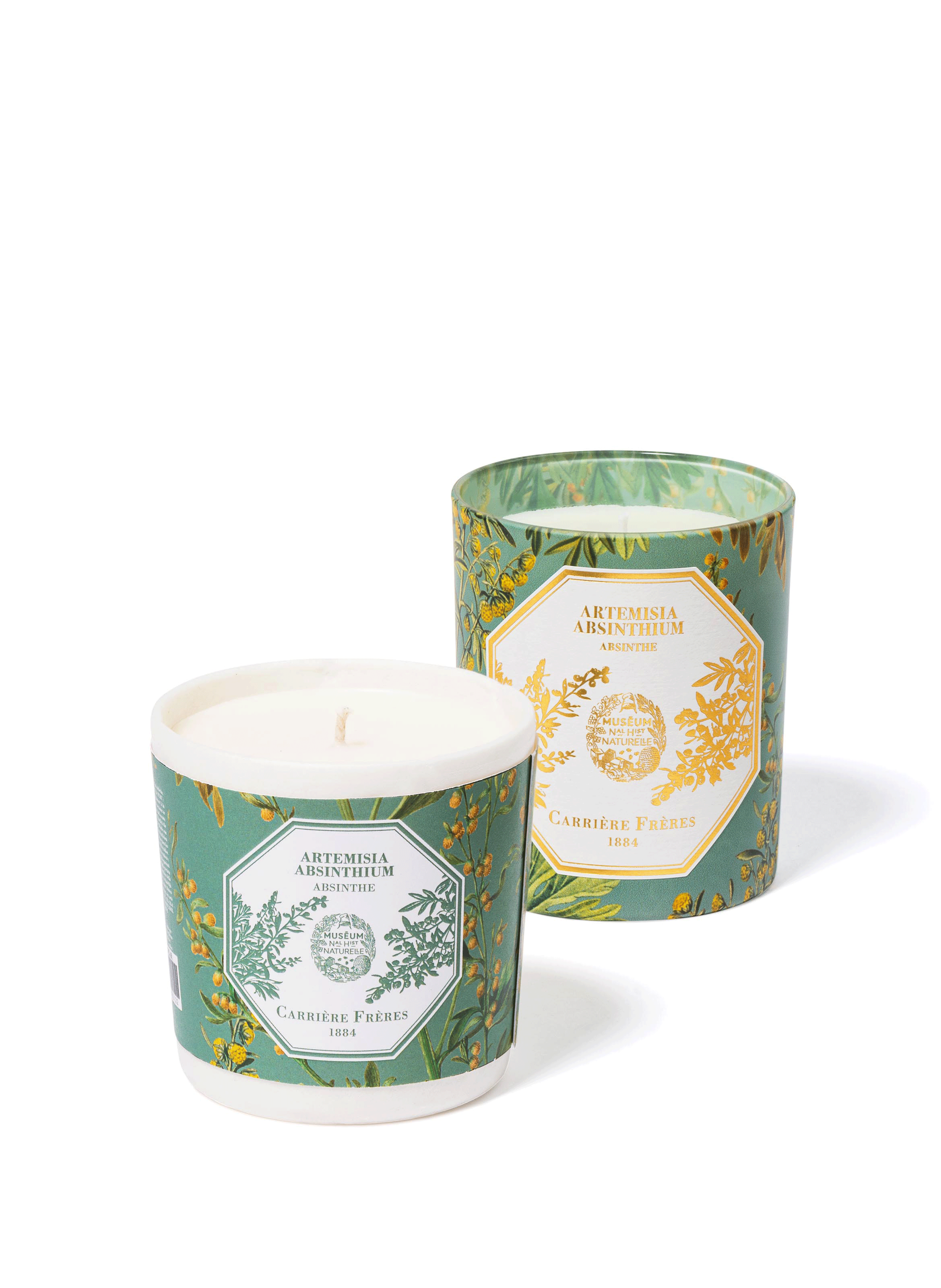 Recharge bougie Artemisia Absinthium - Absinthe