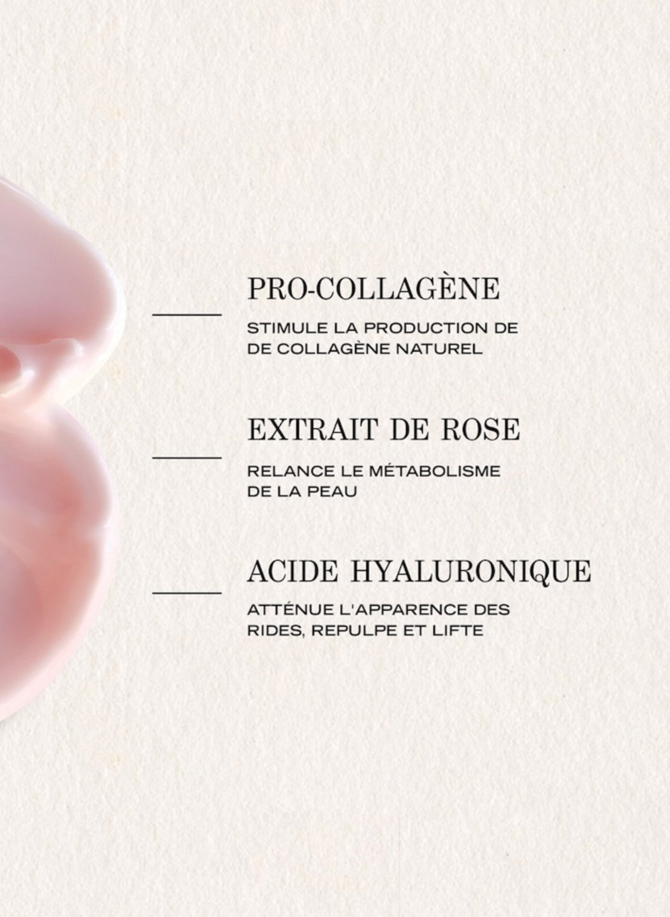 Roselift - Crème sculptante nuit PAYOT No color