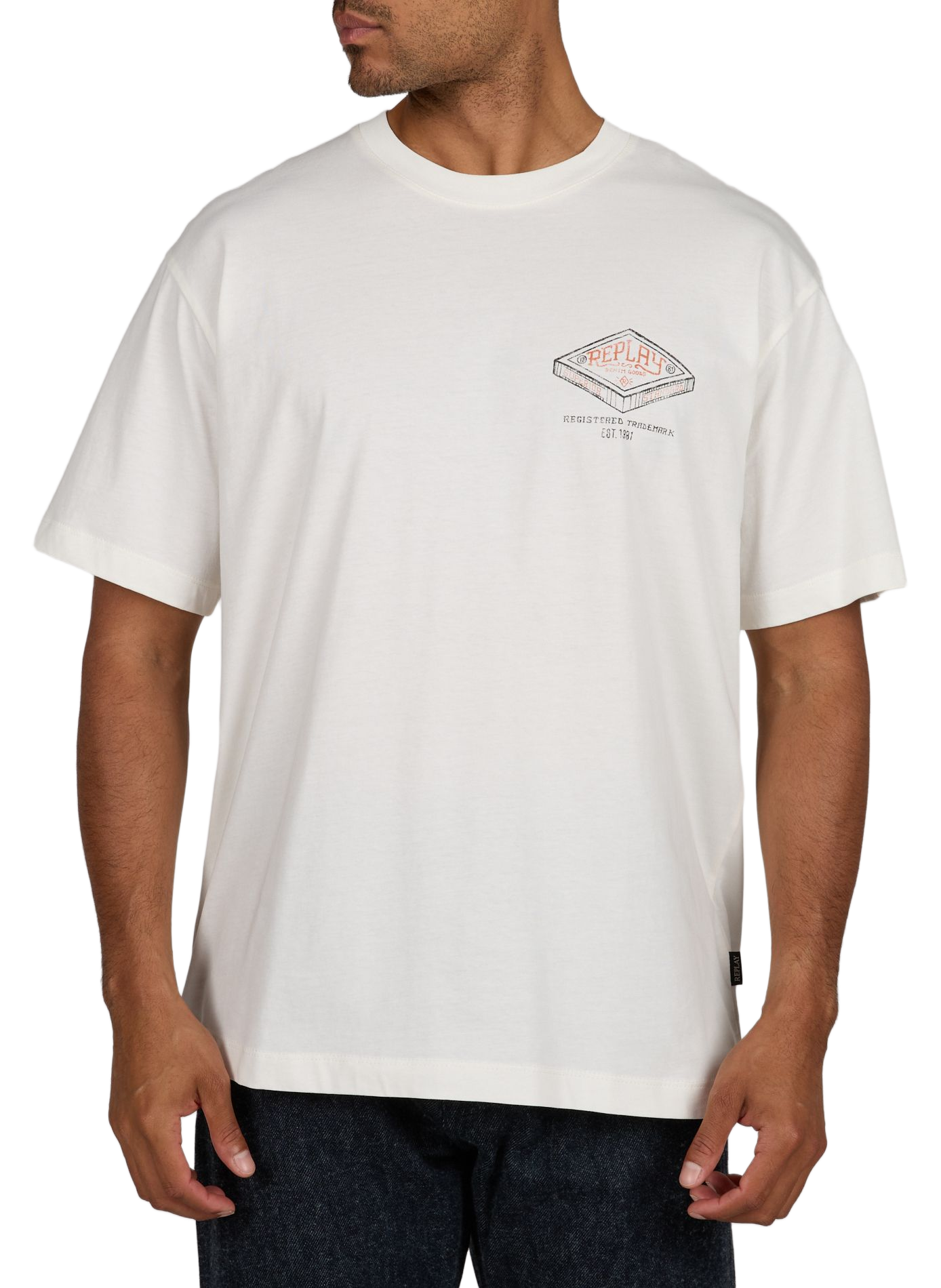 Oversized round neck cotton screen-printed t-shirt REPLAY Beige