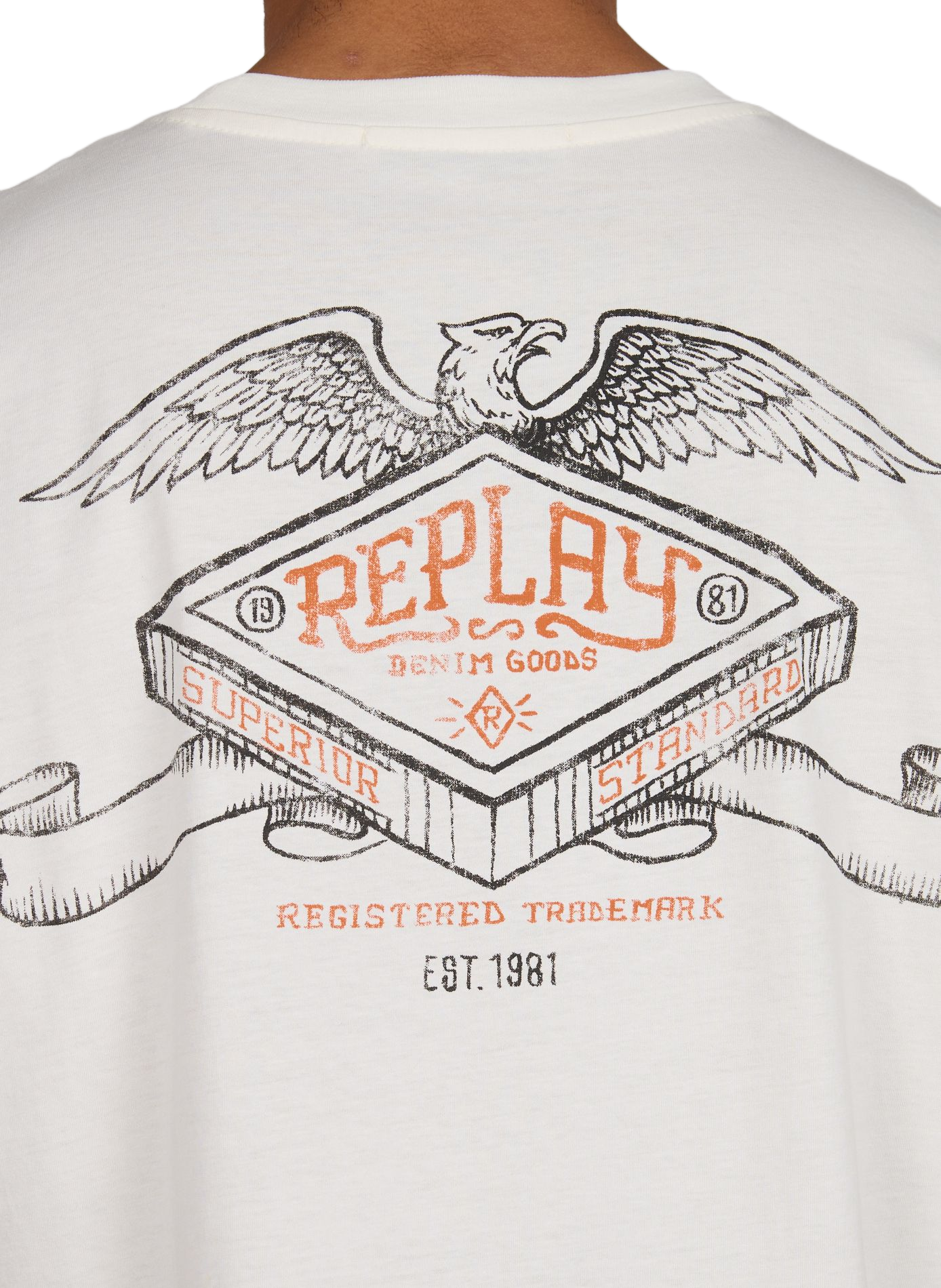 Oversized round neck cotton screen-printed t-shirt REPLAY Beige
