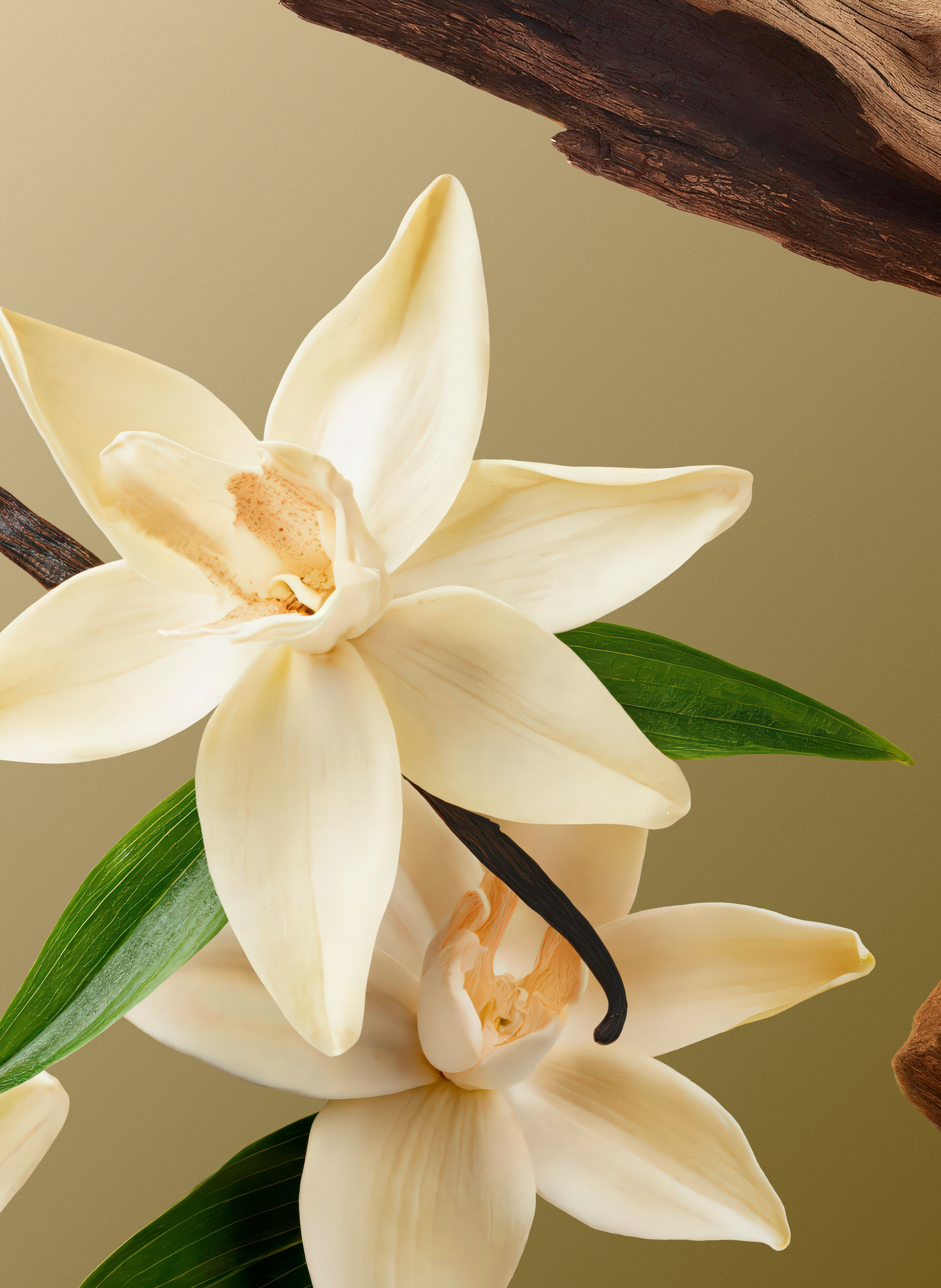 Intuitia - Body Scrub RITUALS No color