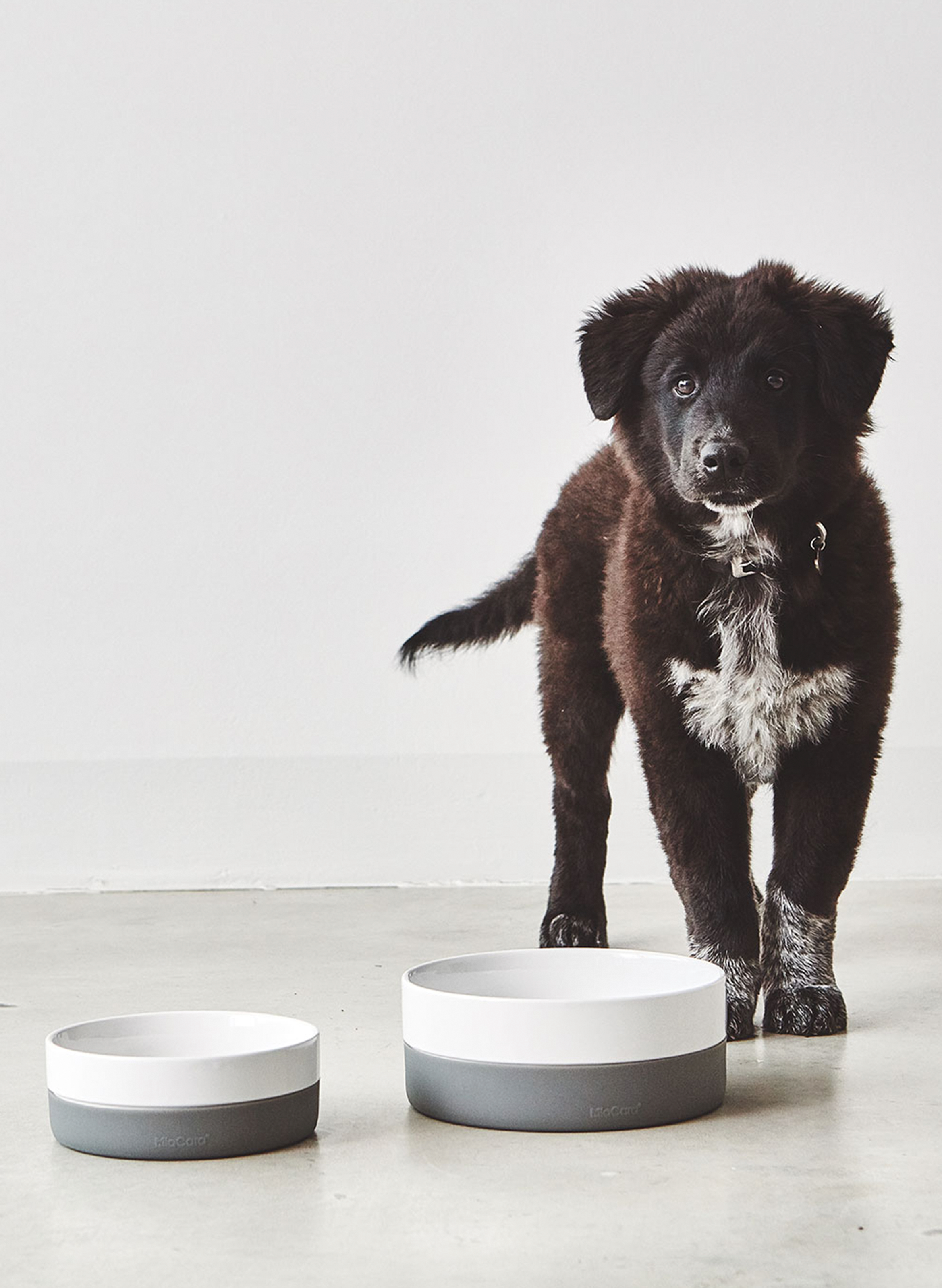 Gamelle en porcelaine et silicone BAGANE Gris