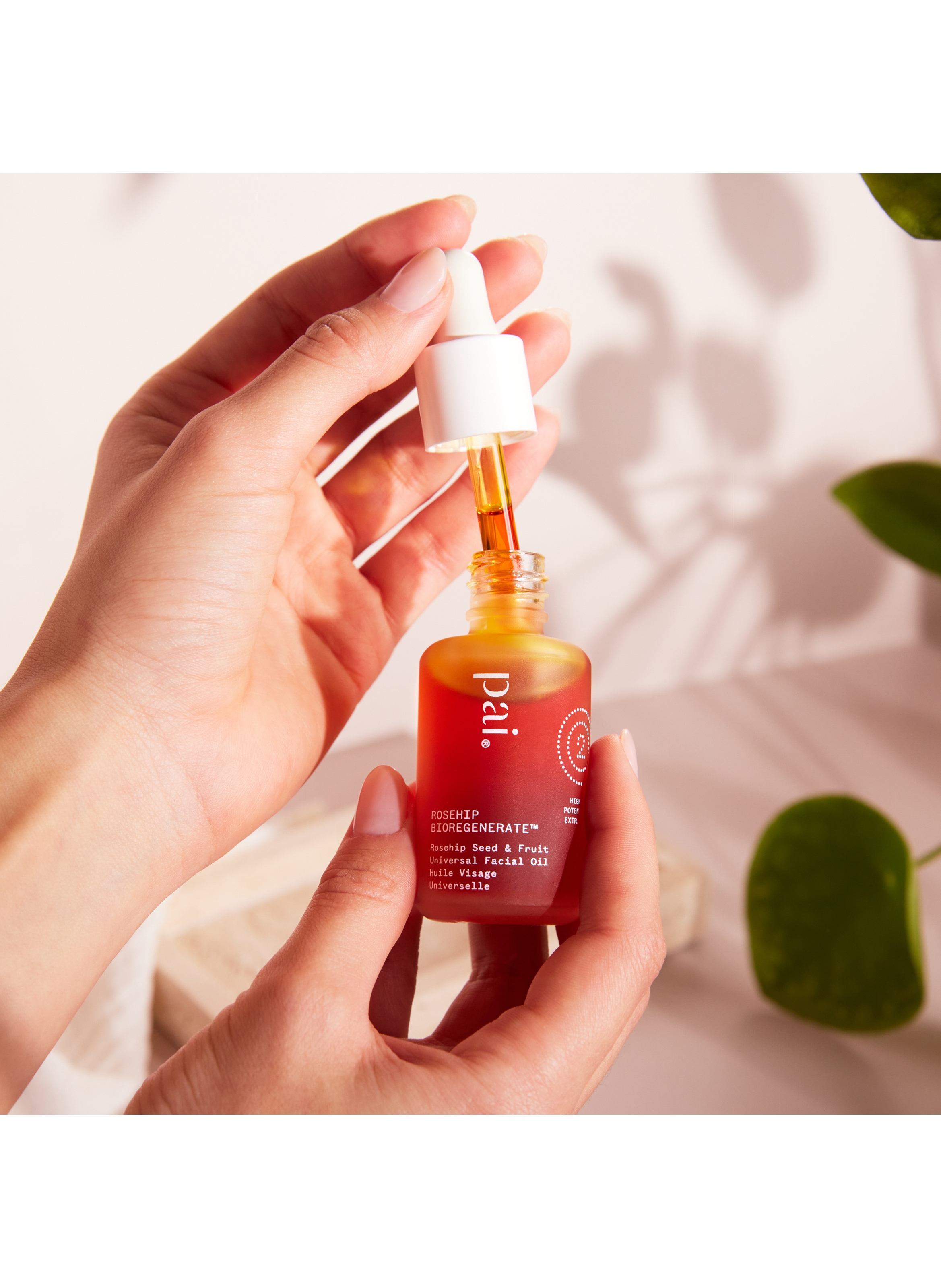 Rosehip Bioregenerate - Universal Face Oil PAI No color