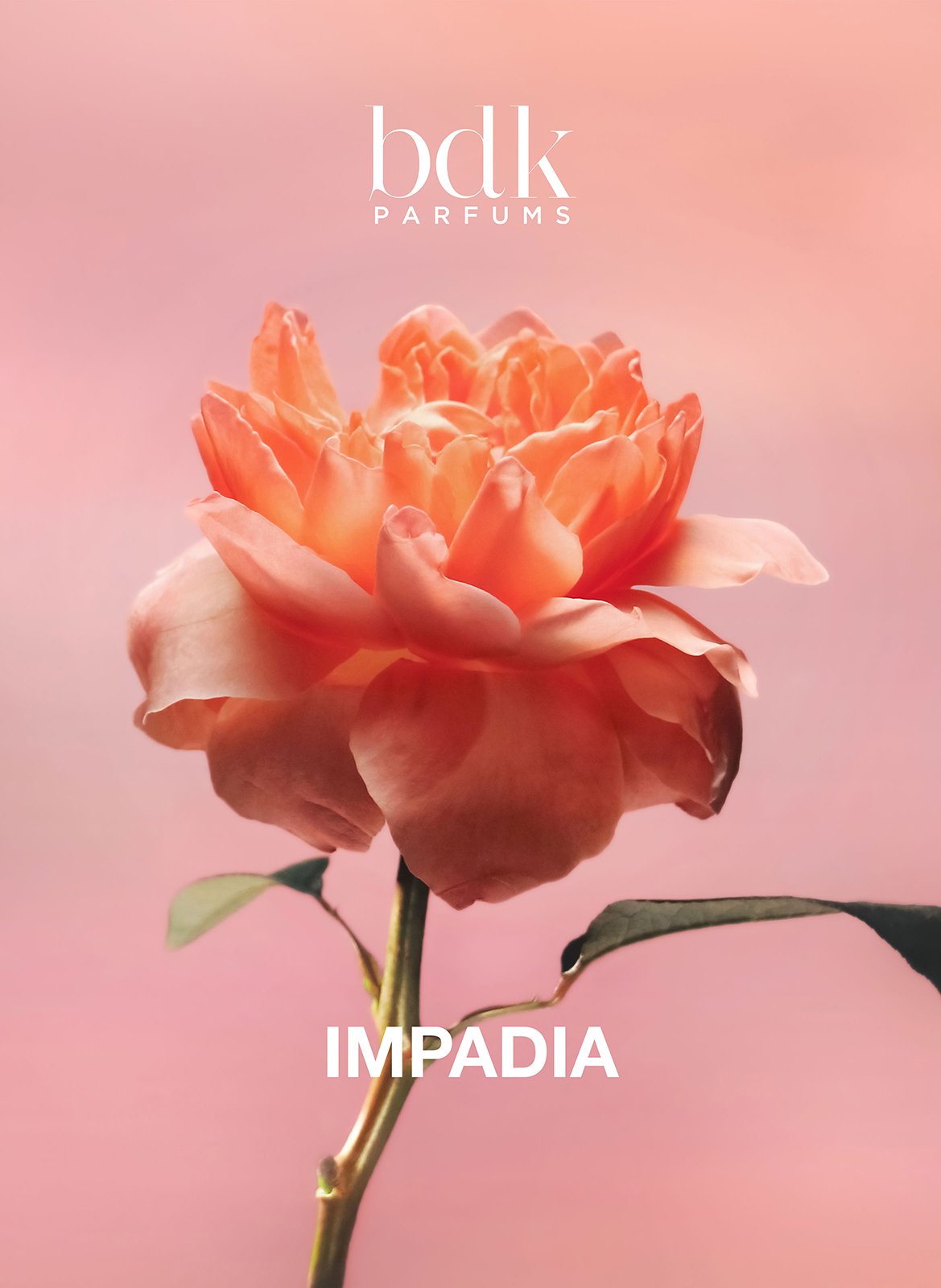Impadia - Eau de parfum BDK PARFUMS No color