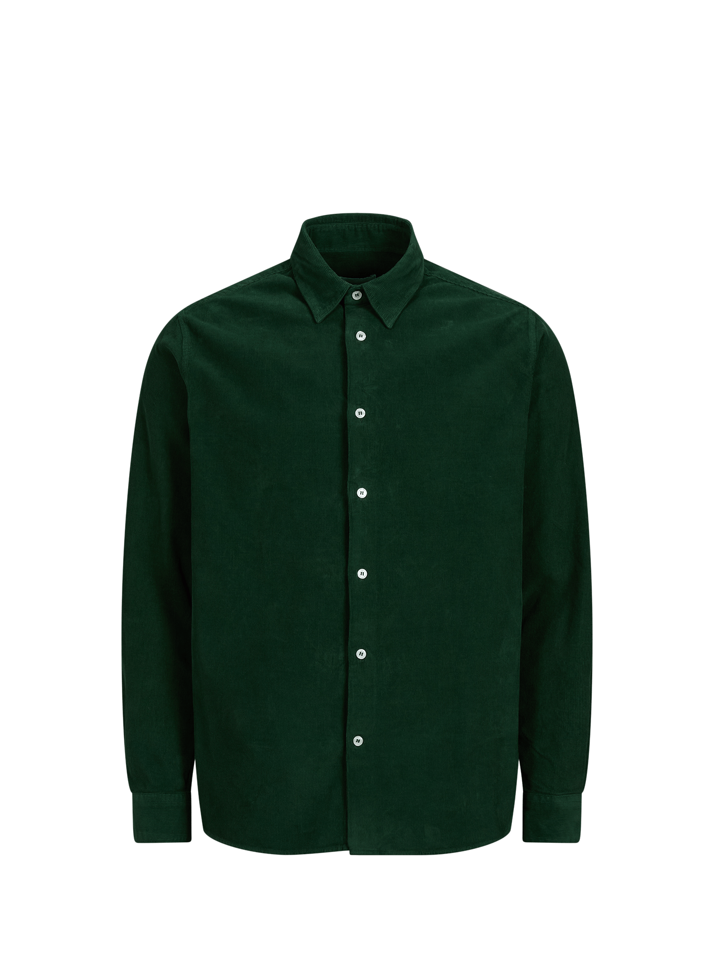 Gerade Cordhemd CIRCA Vert mousse
