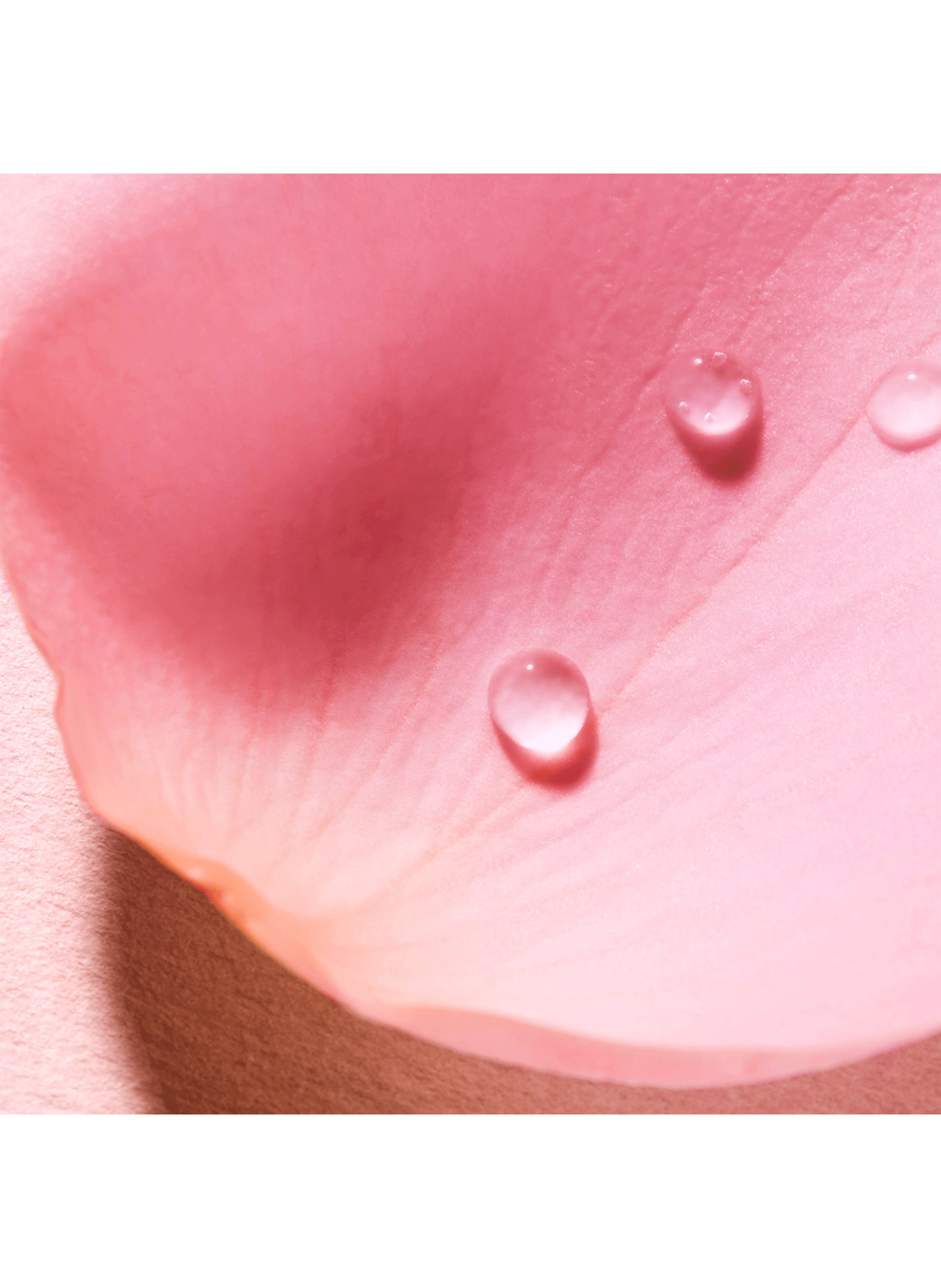 Eau Voluptueuse Parfumante, Very Rose NUXE No color