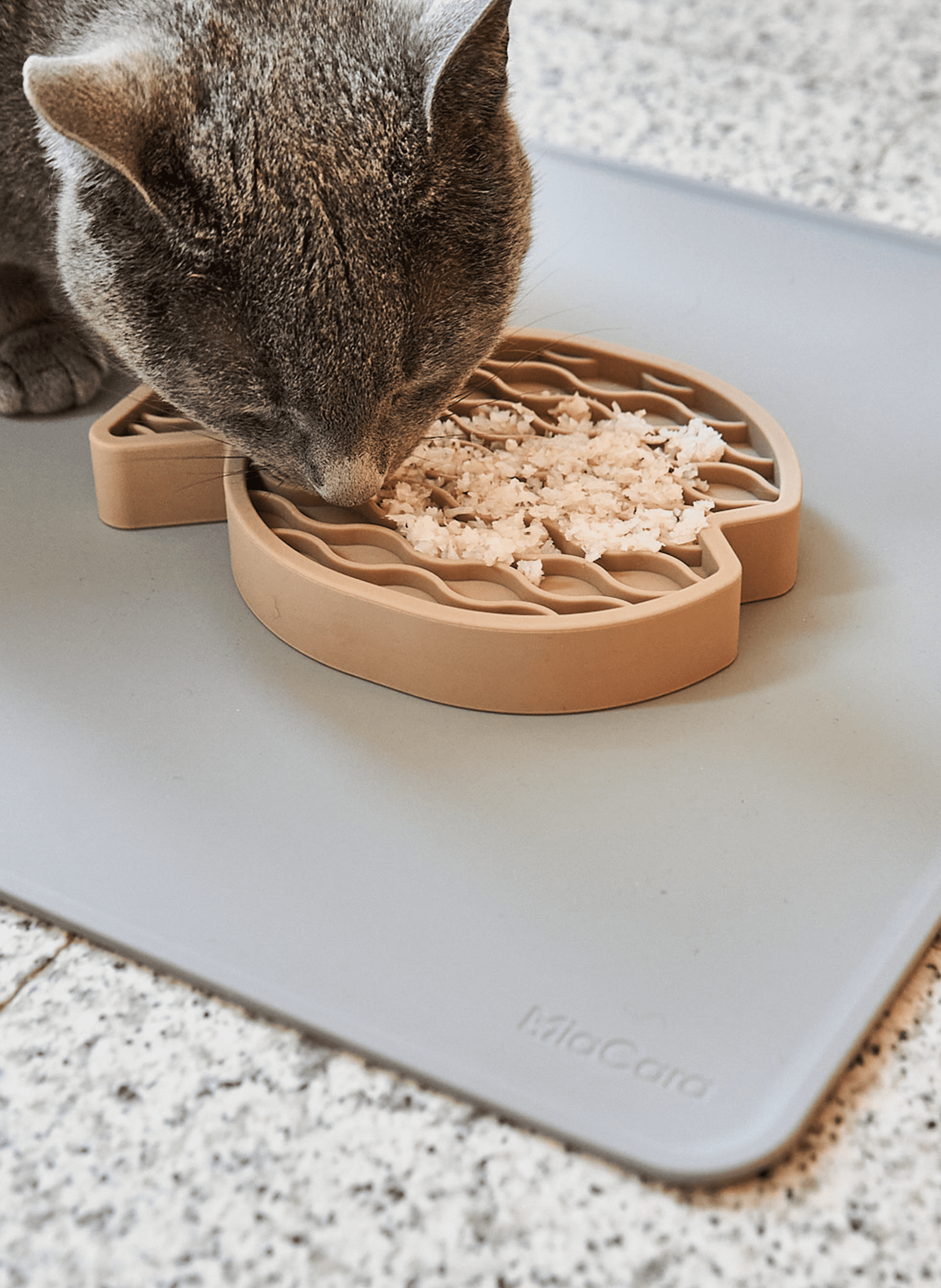 Tapis de gamelle en silicone BAGANE Gris