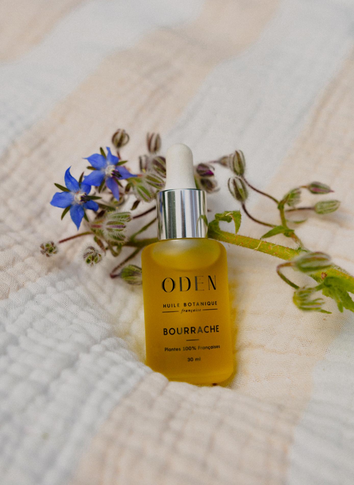 Borage botanical oil ODEN No color
