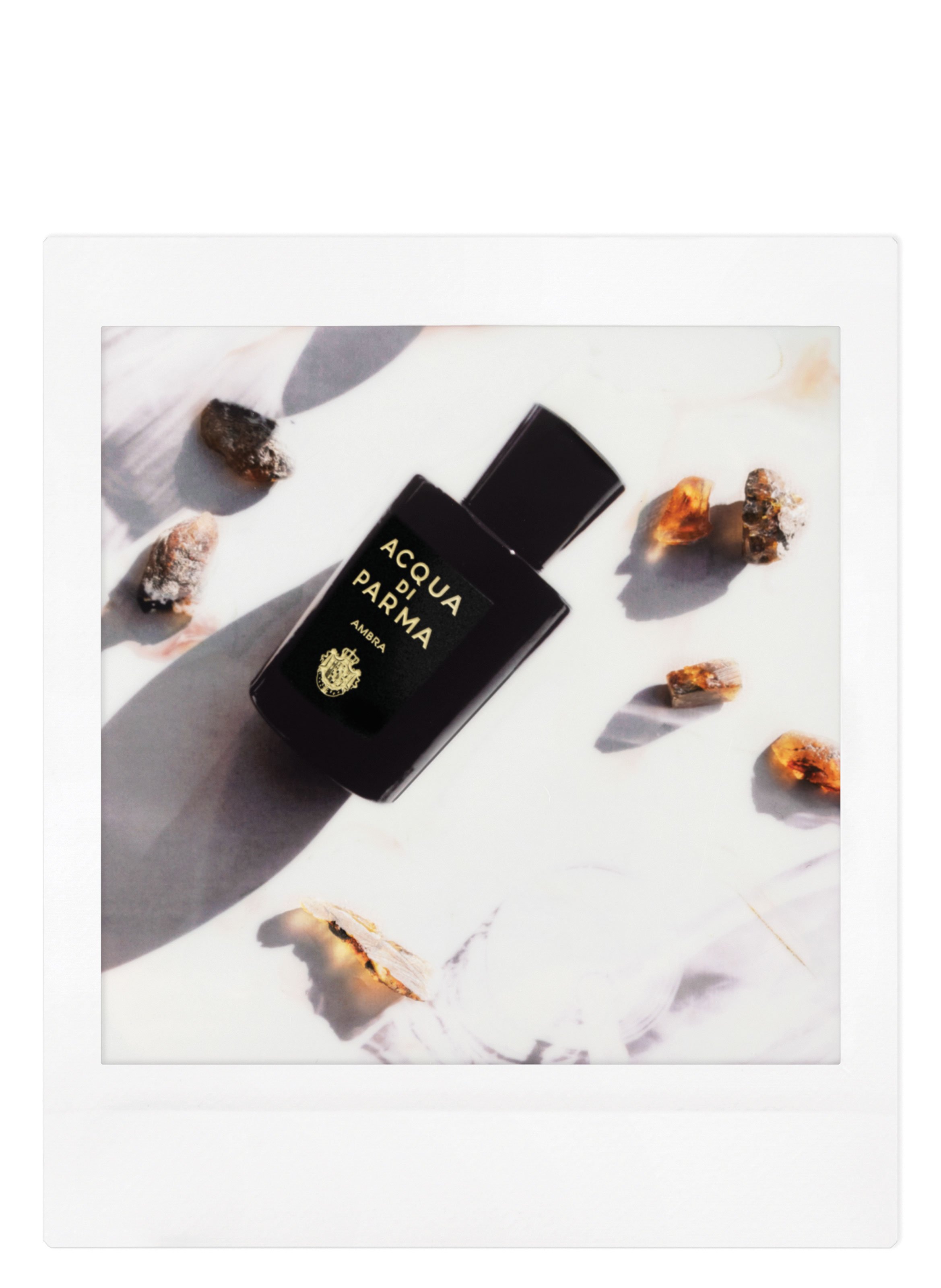 Ambra Eau de Parfum 100 ml (3.4 fl oz) ACQUA DI PARMA No color