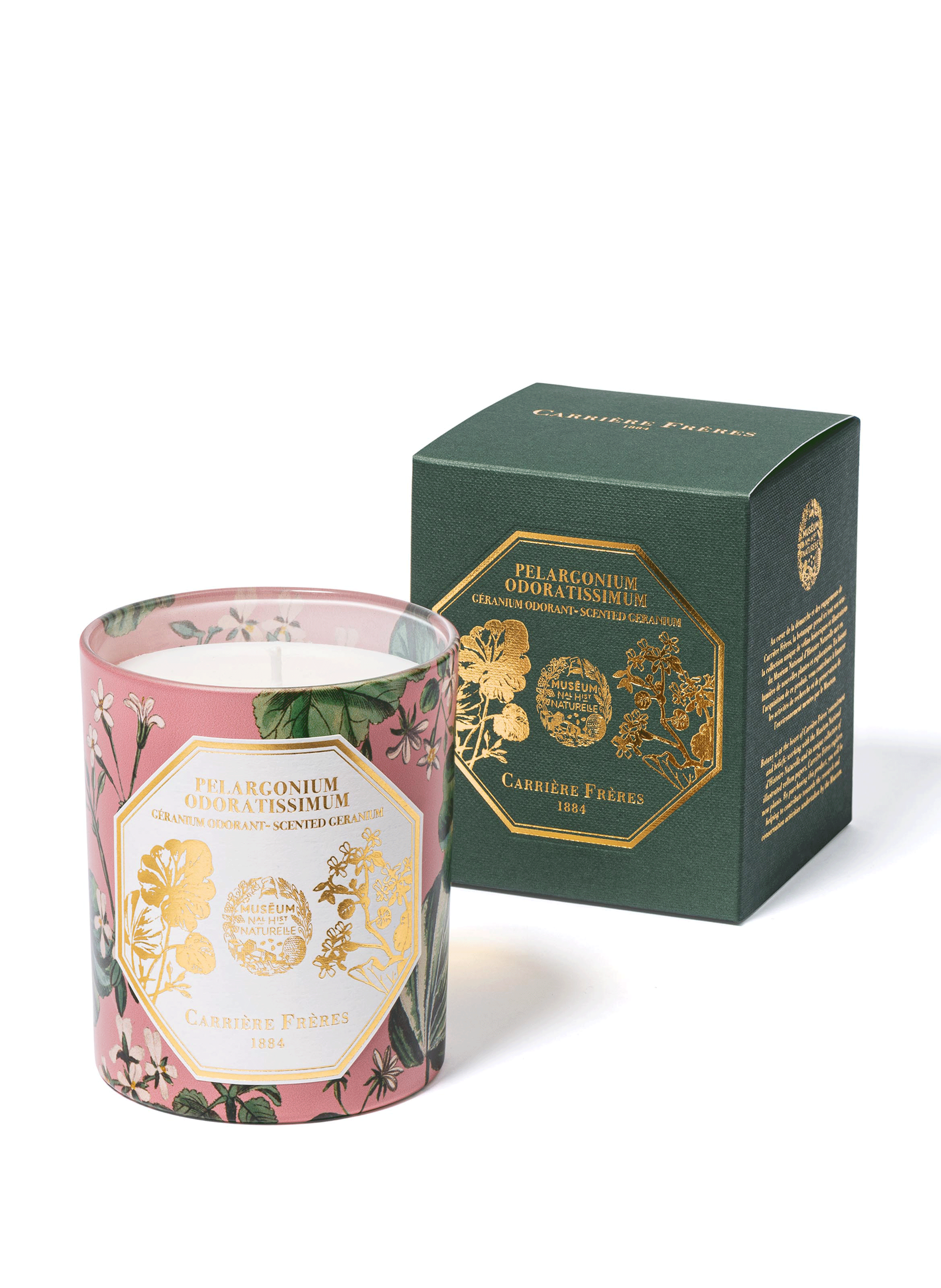 Bougie parfumée Pelargonium Odoratissimum - Géranium