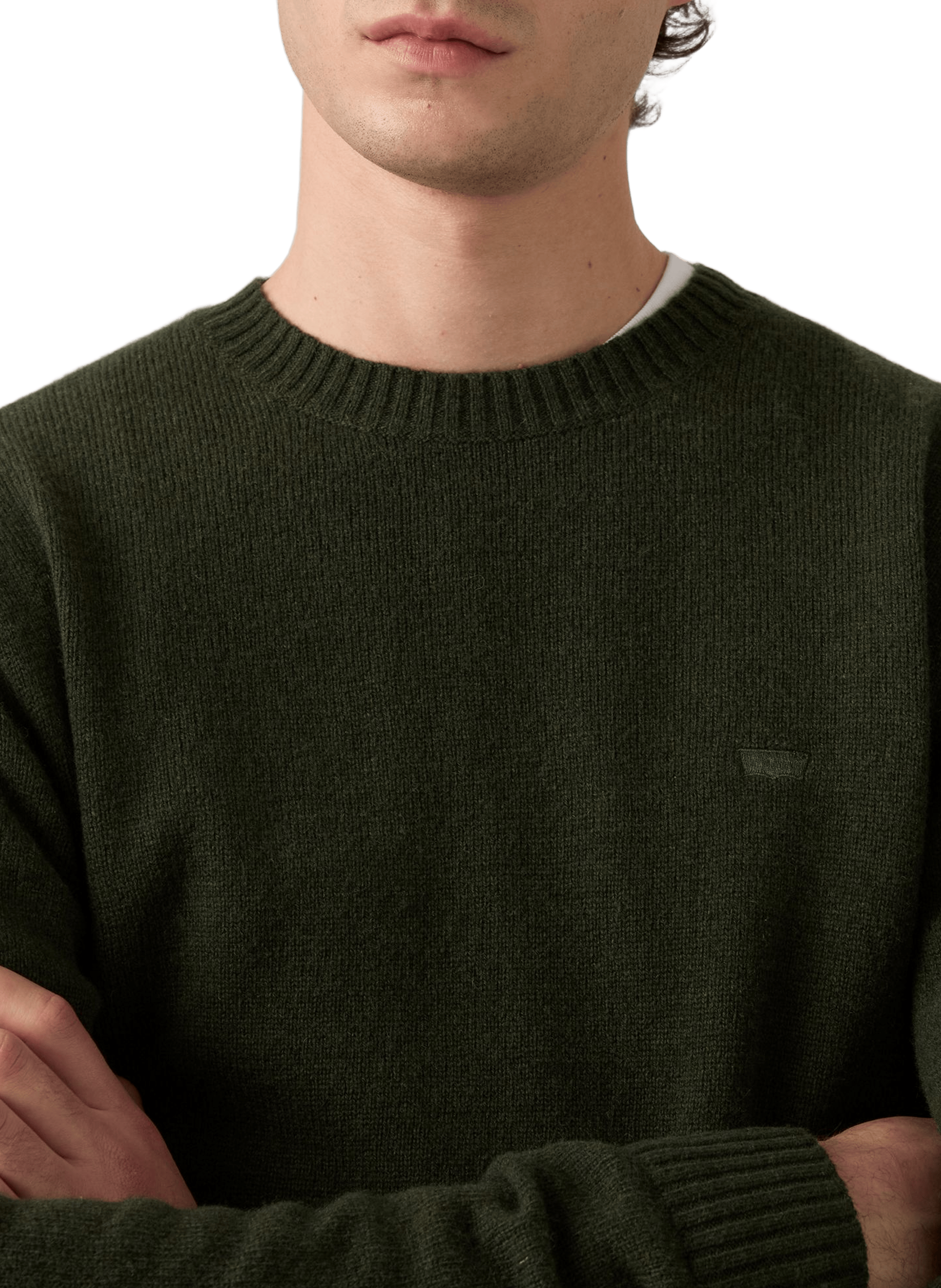 Crew-neck jumper LEVI'S Green