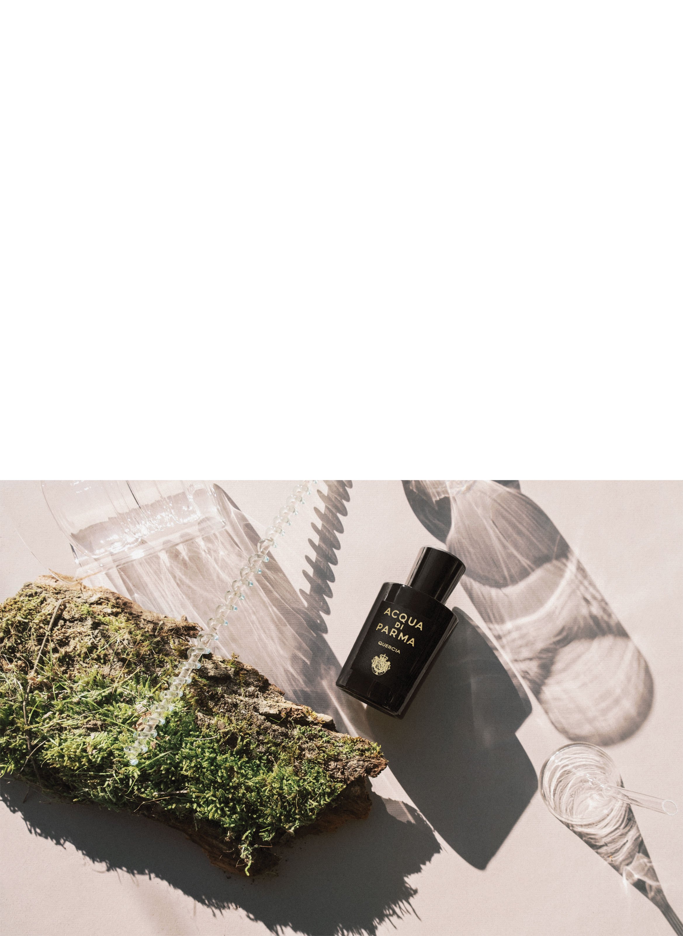 Quercia Eau de Parfum 100 ml (3.4 fl oz) ACQUA DI PARMA No color